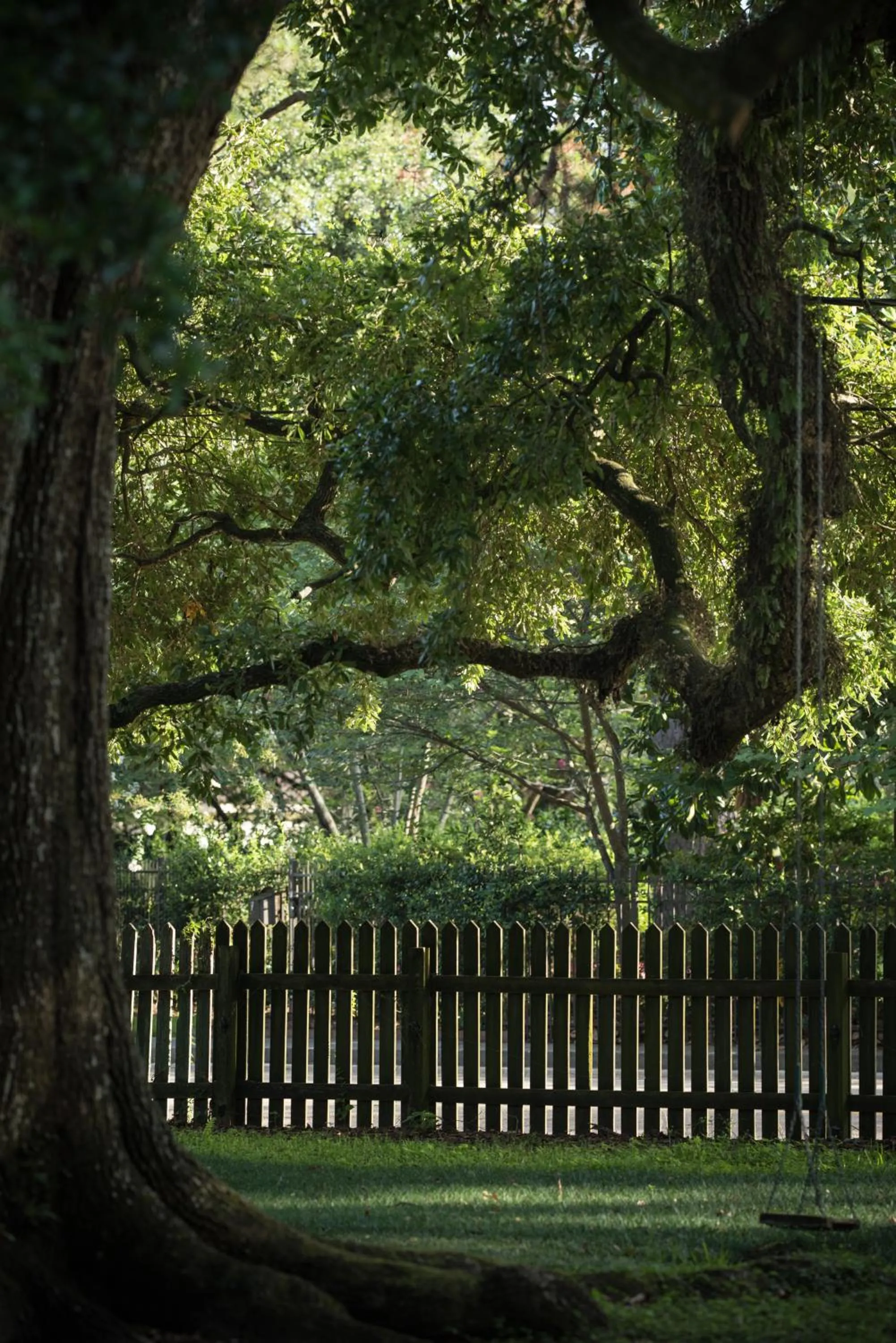 Natural landscape in Maison Mouton Bed & Breakfast