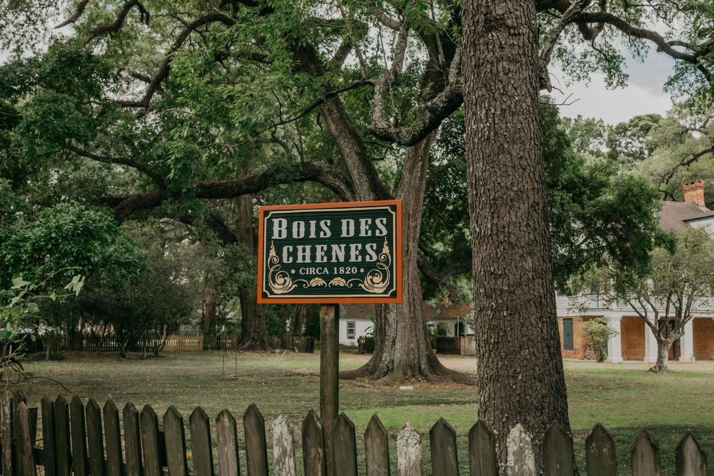 Maison Mouton Bed & Breakfast