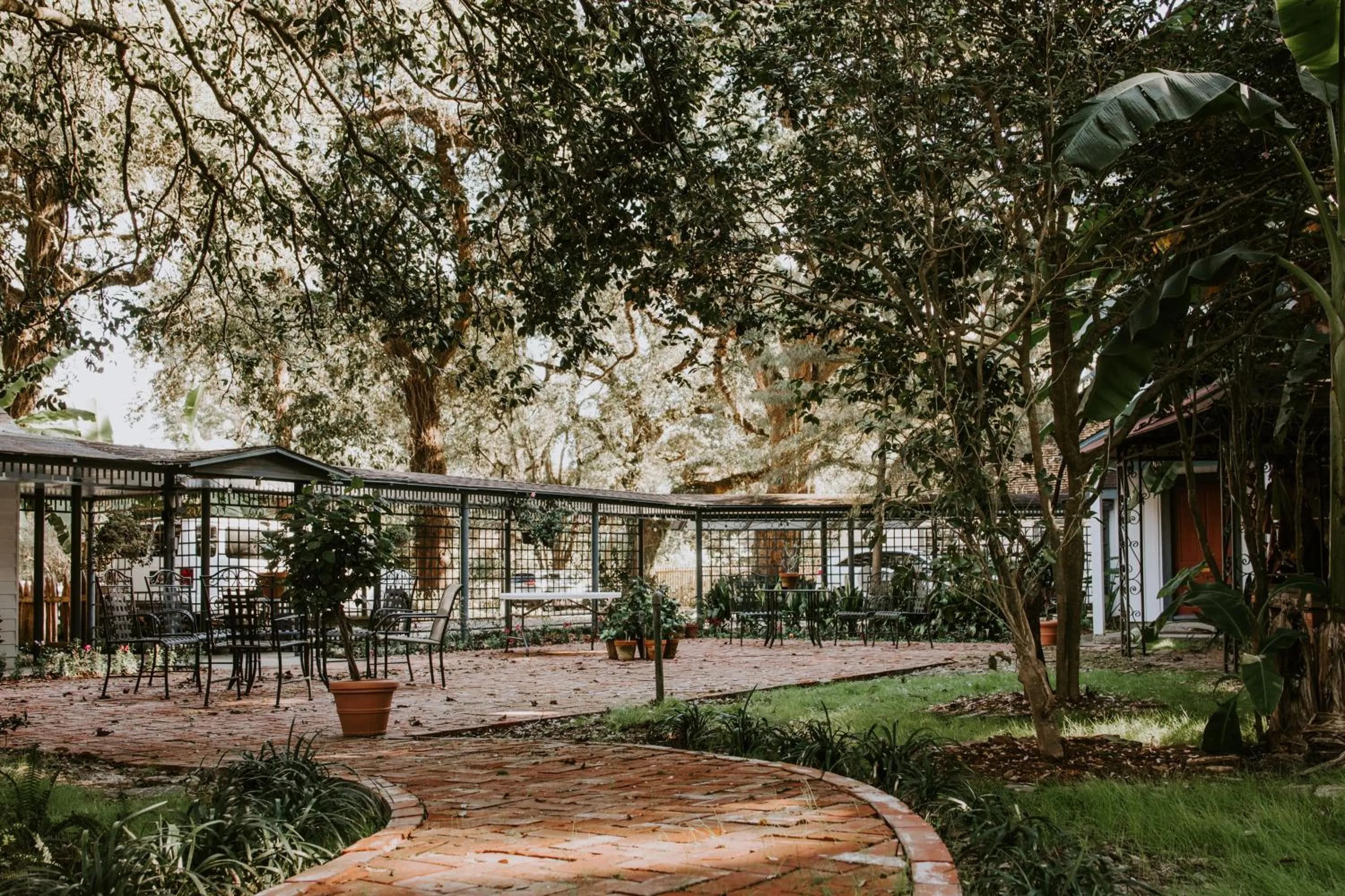 Maison Mouton Bed & Breakfast