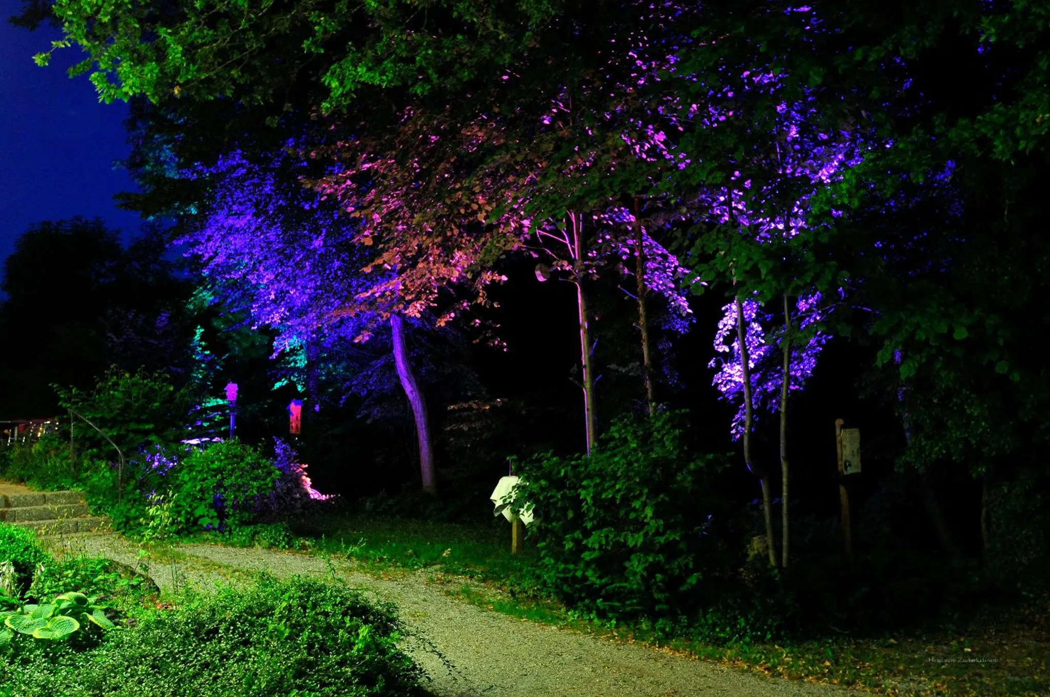 Night in Hotel zum Zauberkabinett