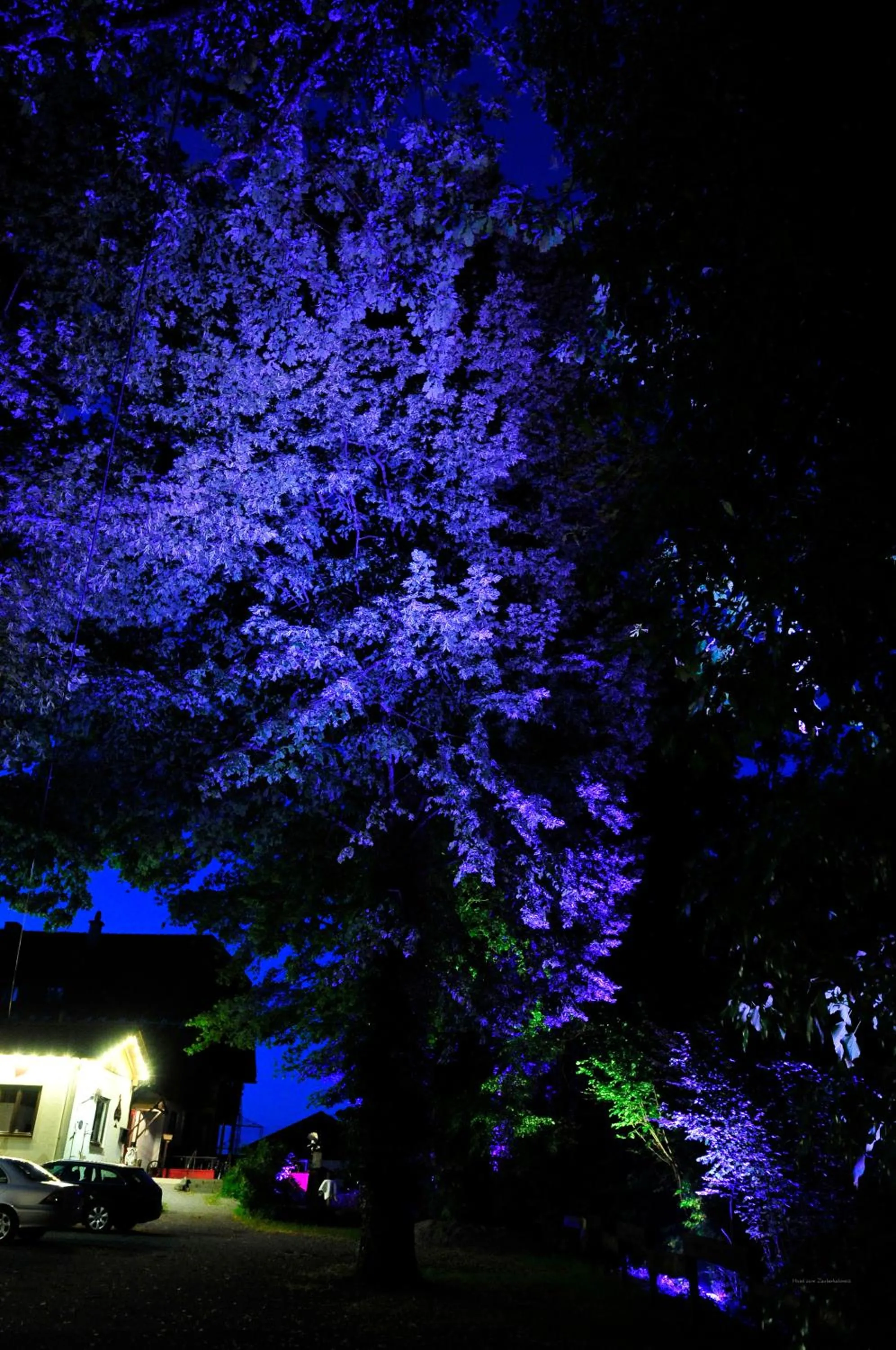 Night in Hotel zum Zauberkabinett