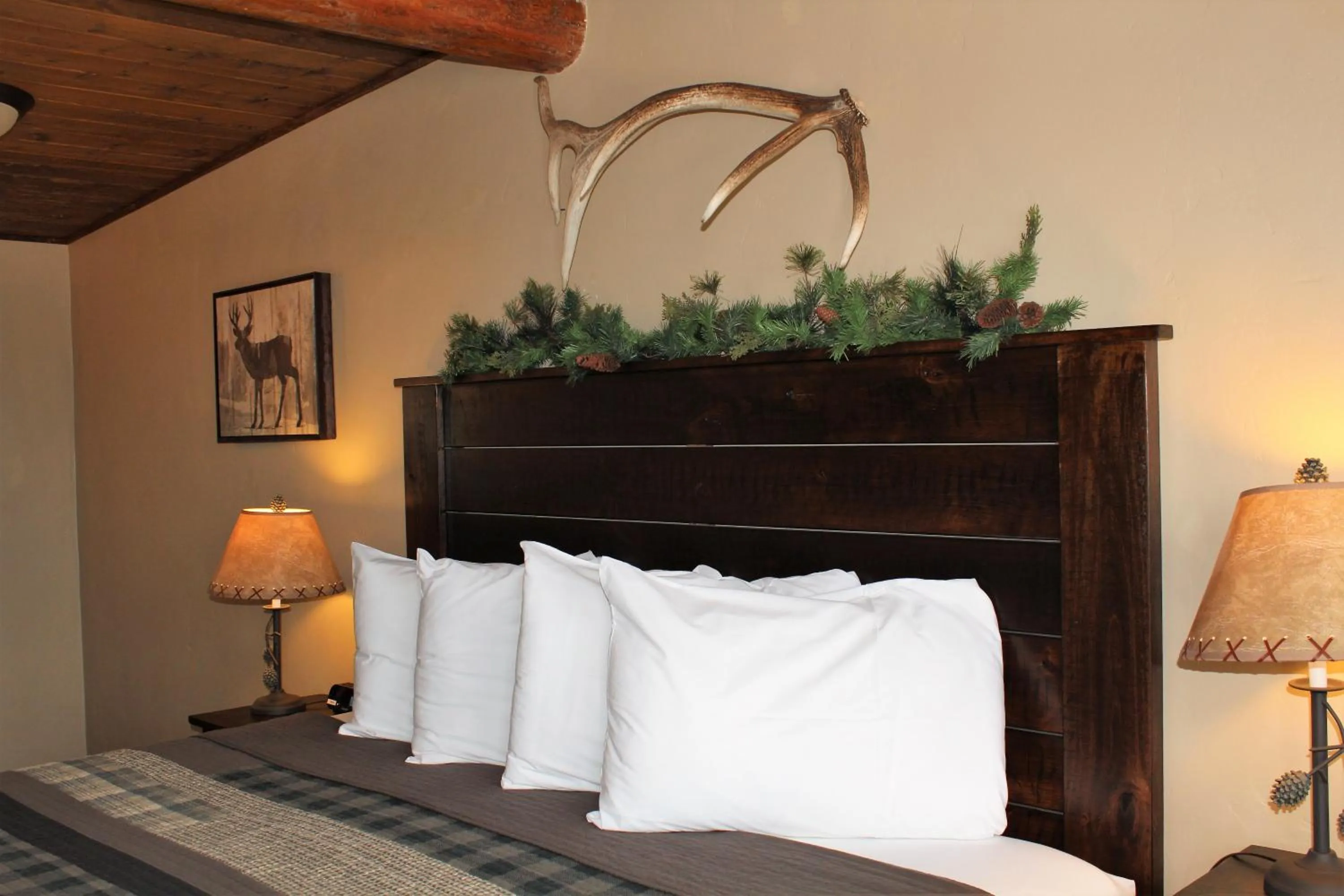 Elkhorn Cabins and Inn