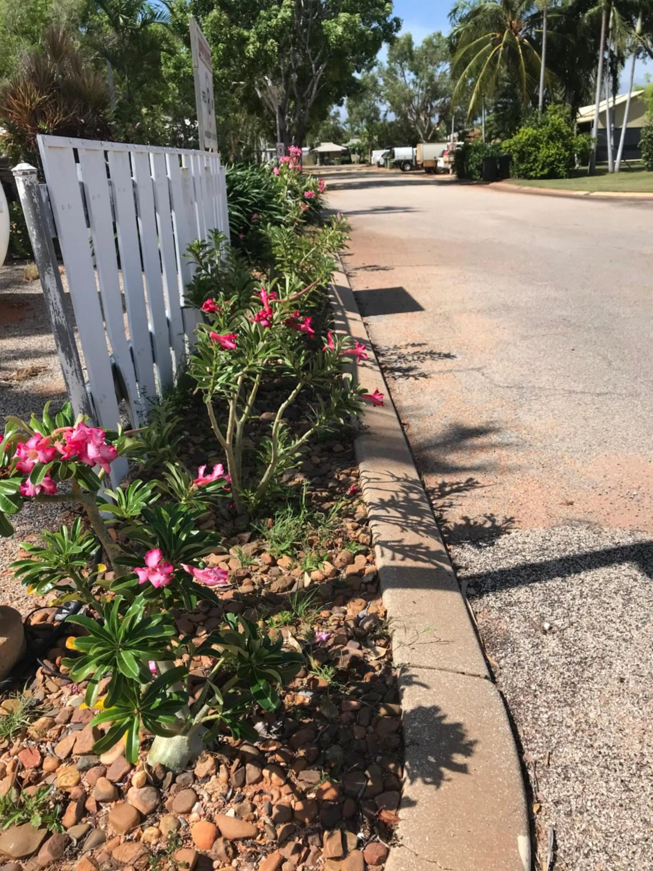 Street view in Broome Vacation Village
