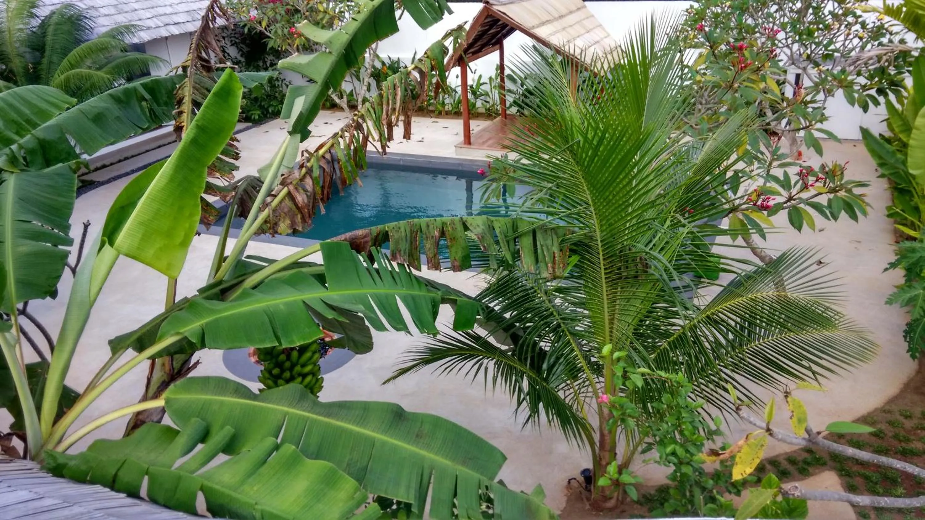 Swimming pool in Villa Kalachuchi V.K