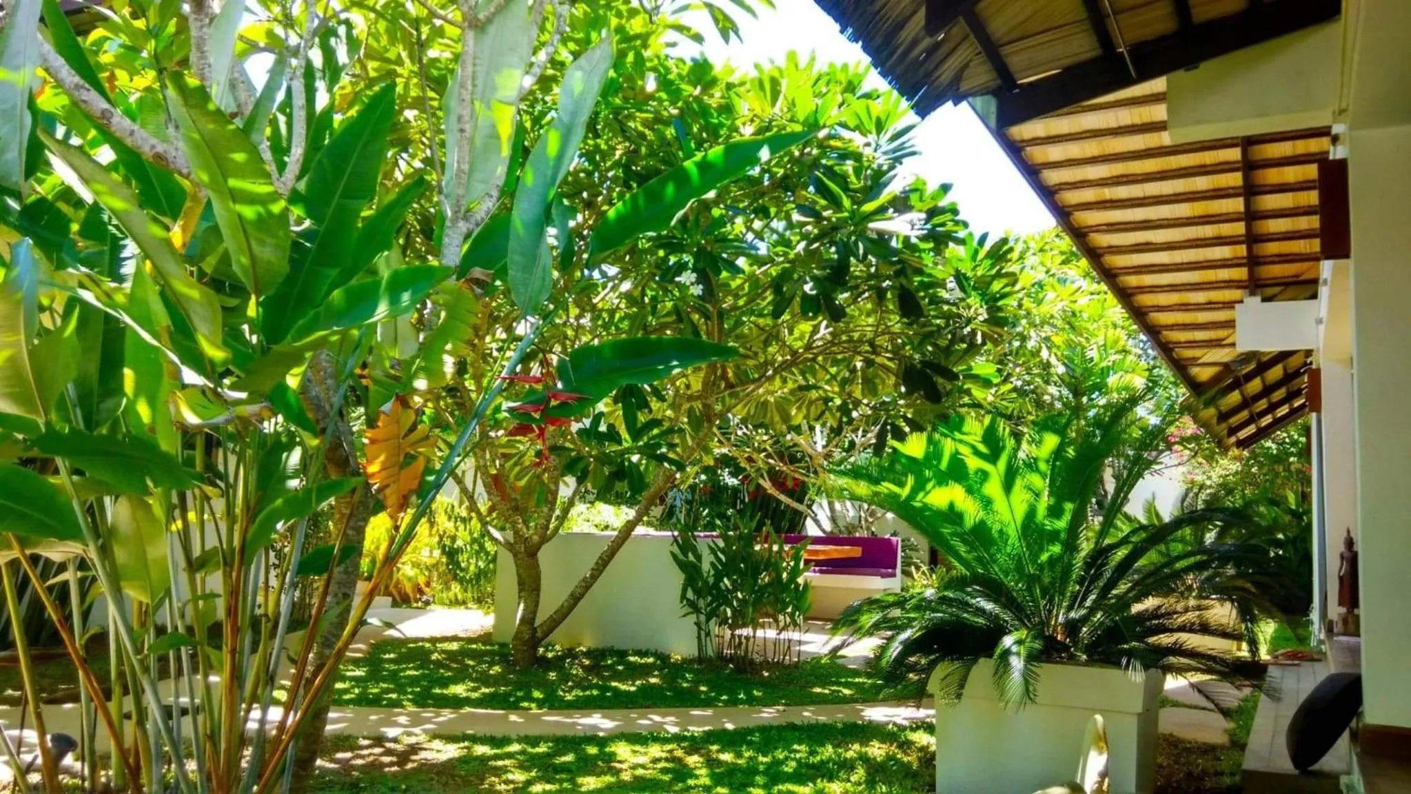 Garden in Villa Kalachuchi V.K