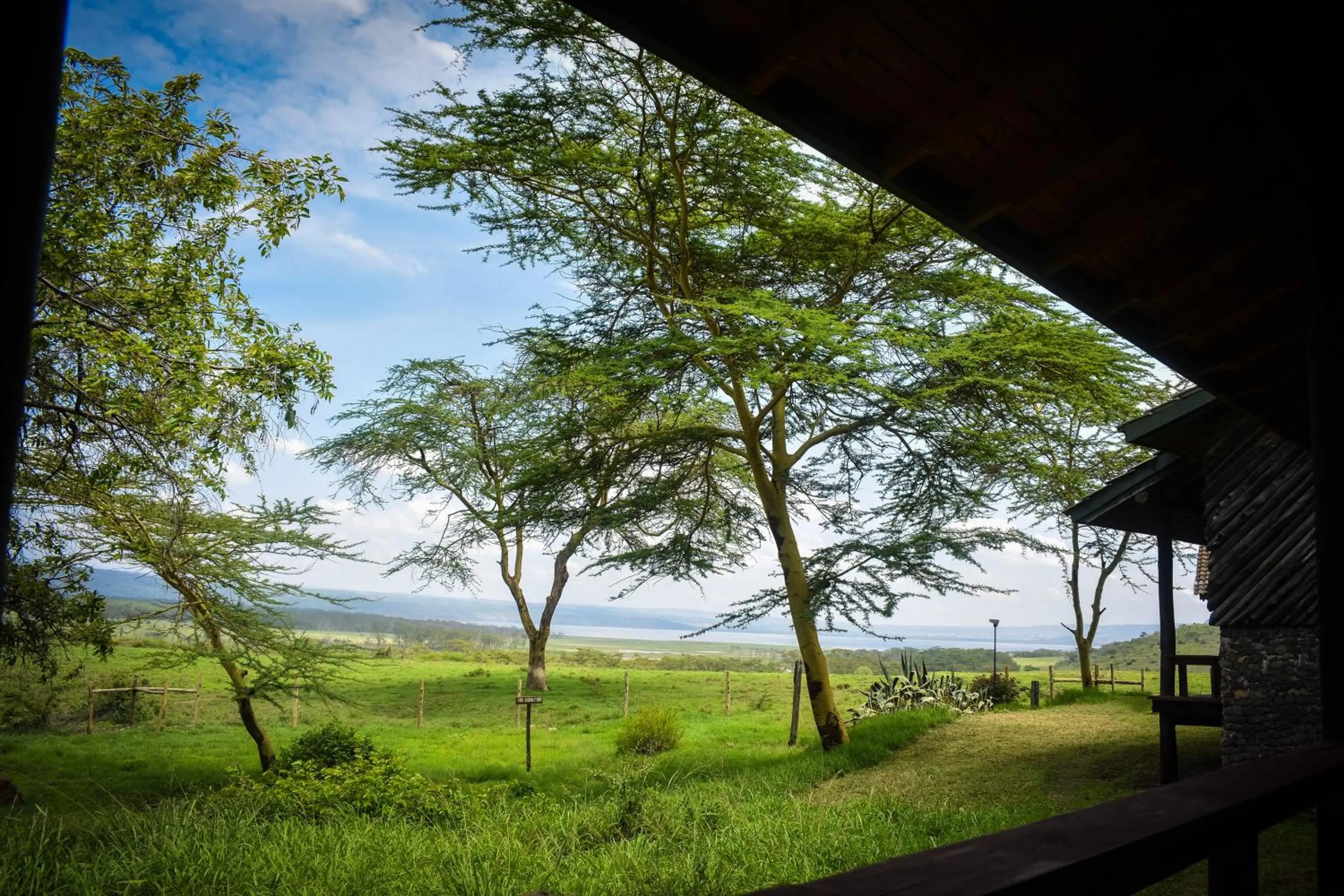 Natural landscape in Lake Nakuru Lodge