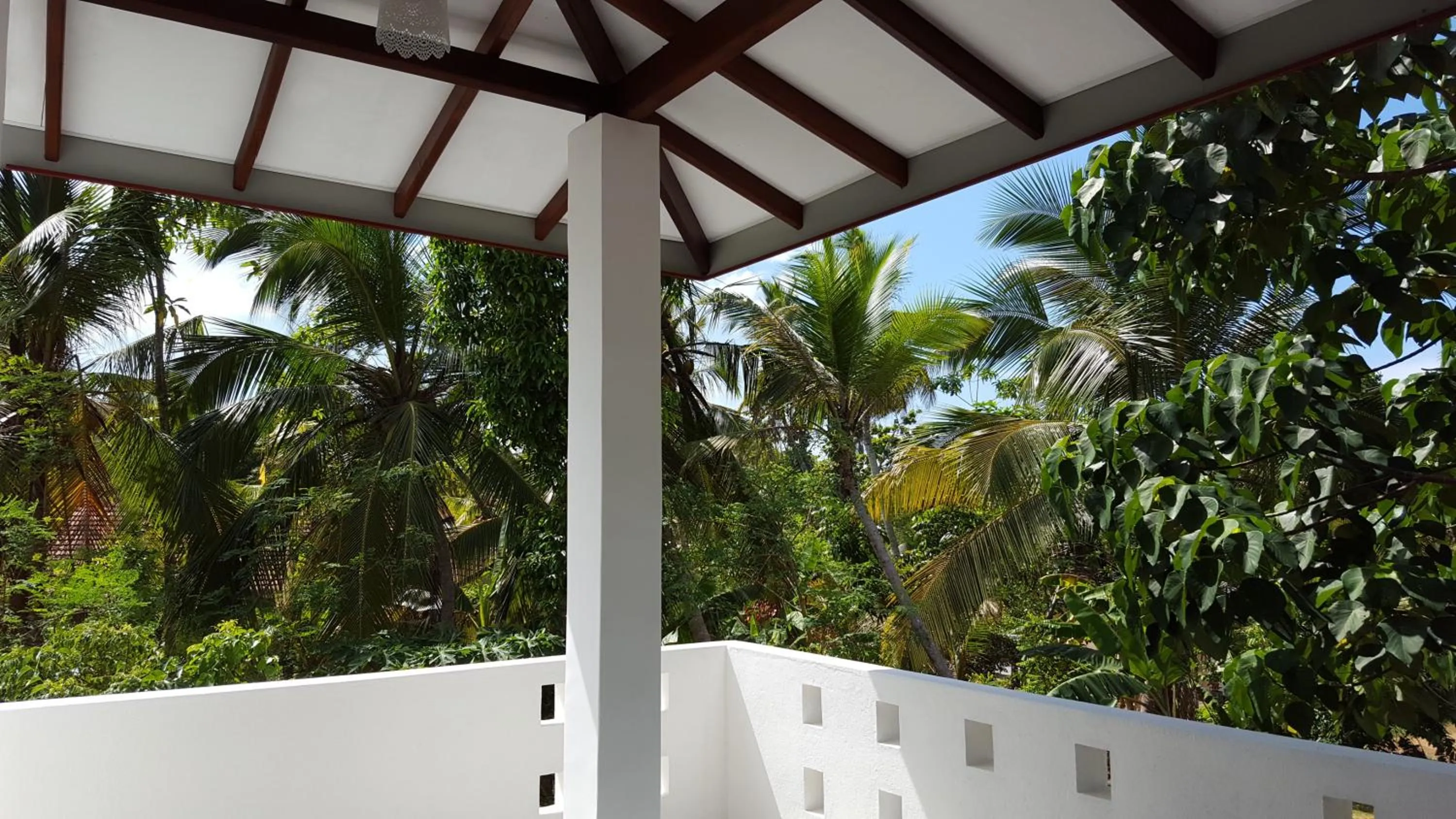 Balcony/Terrace in Emildale Villa