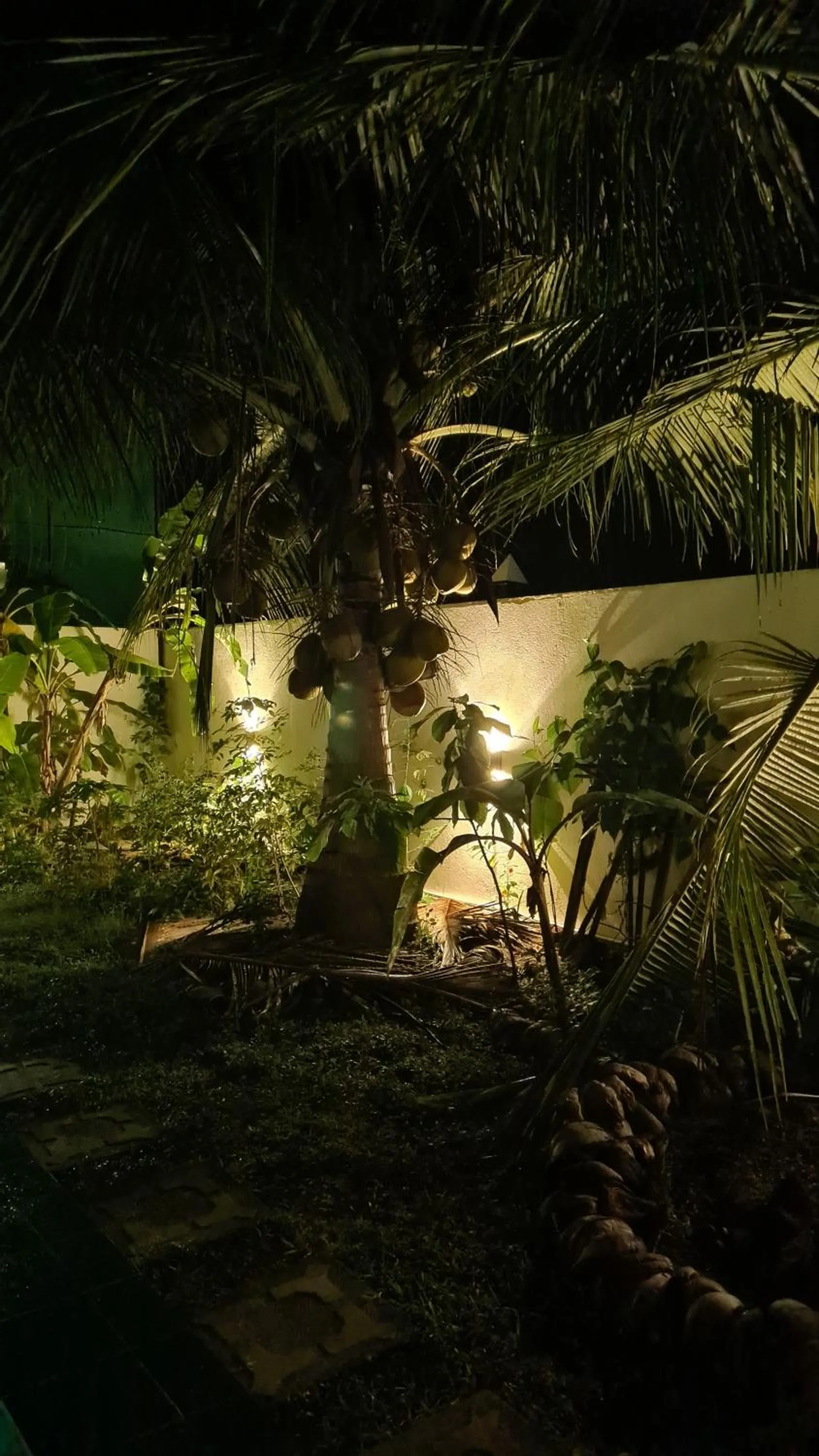 Night in Emildale Villa