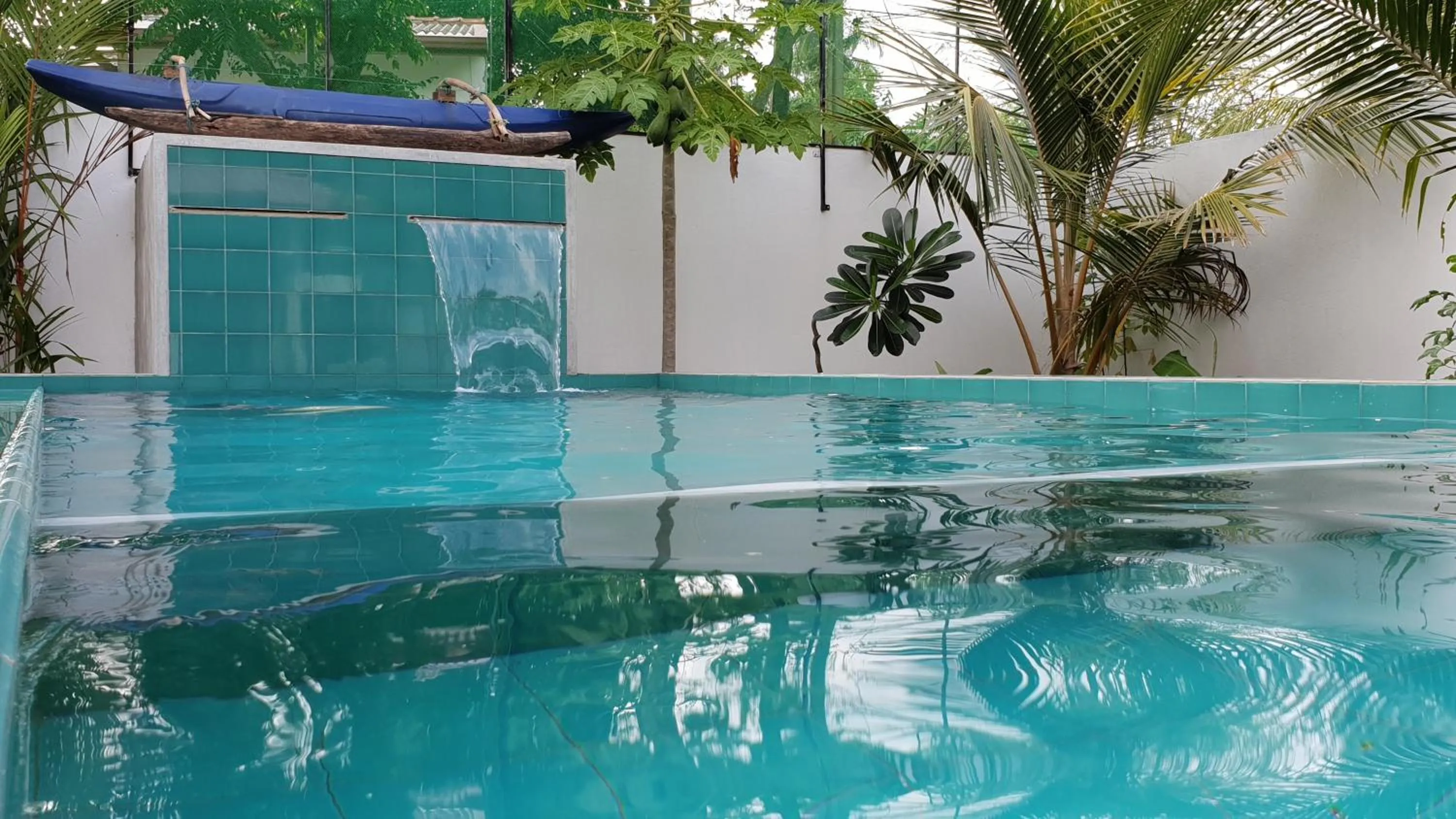 Garden in Emildale Villa