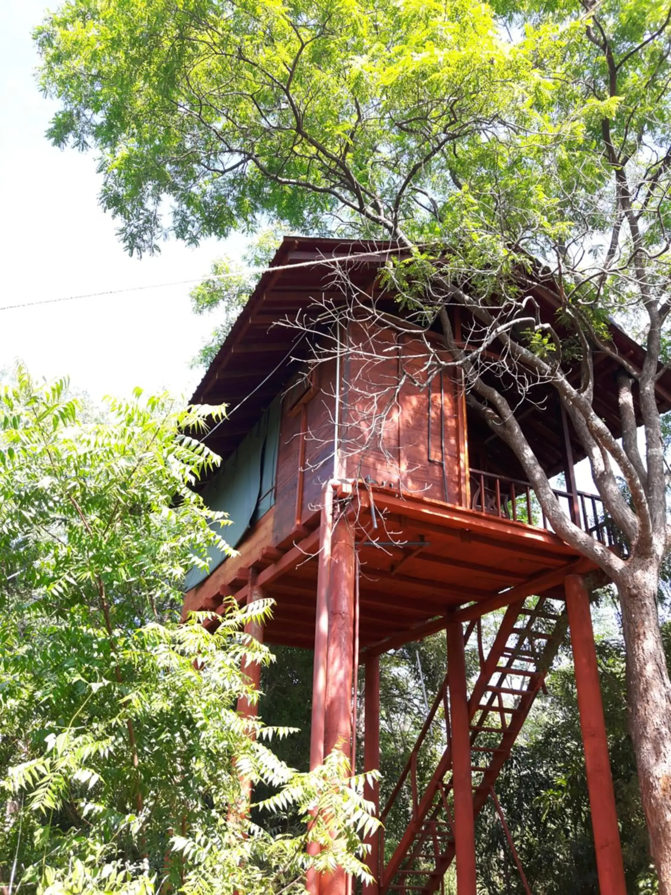 Dambulla Tree House Dambulla Tree House