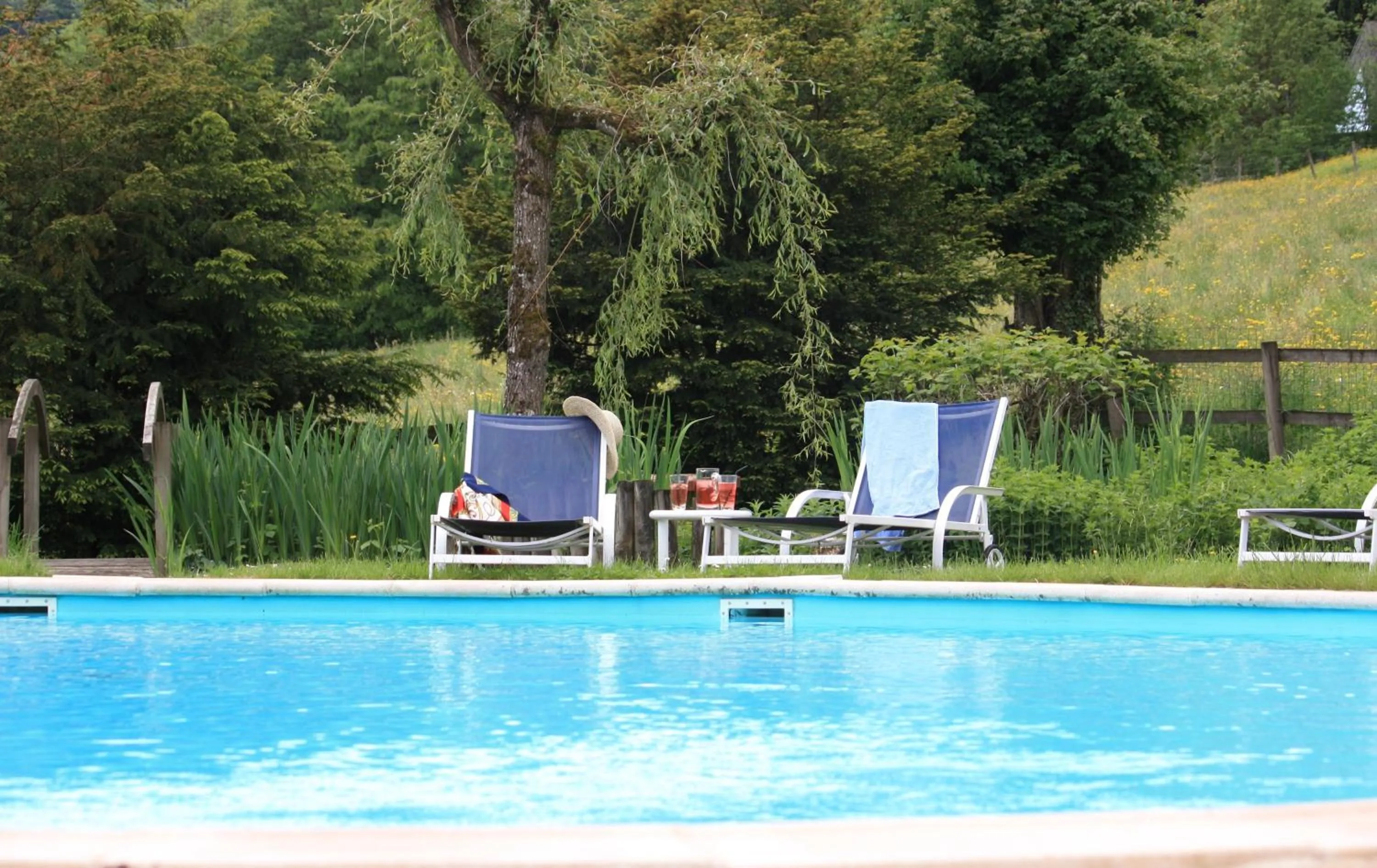 Swimming pool in Hôtel Restaurant Taillard