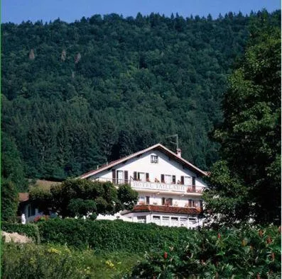 Natural landscape in Hôtel Restaurant Taillard