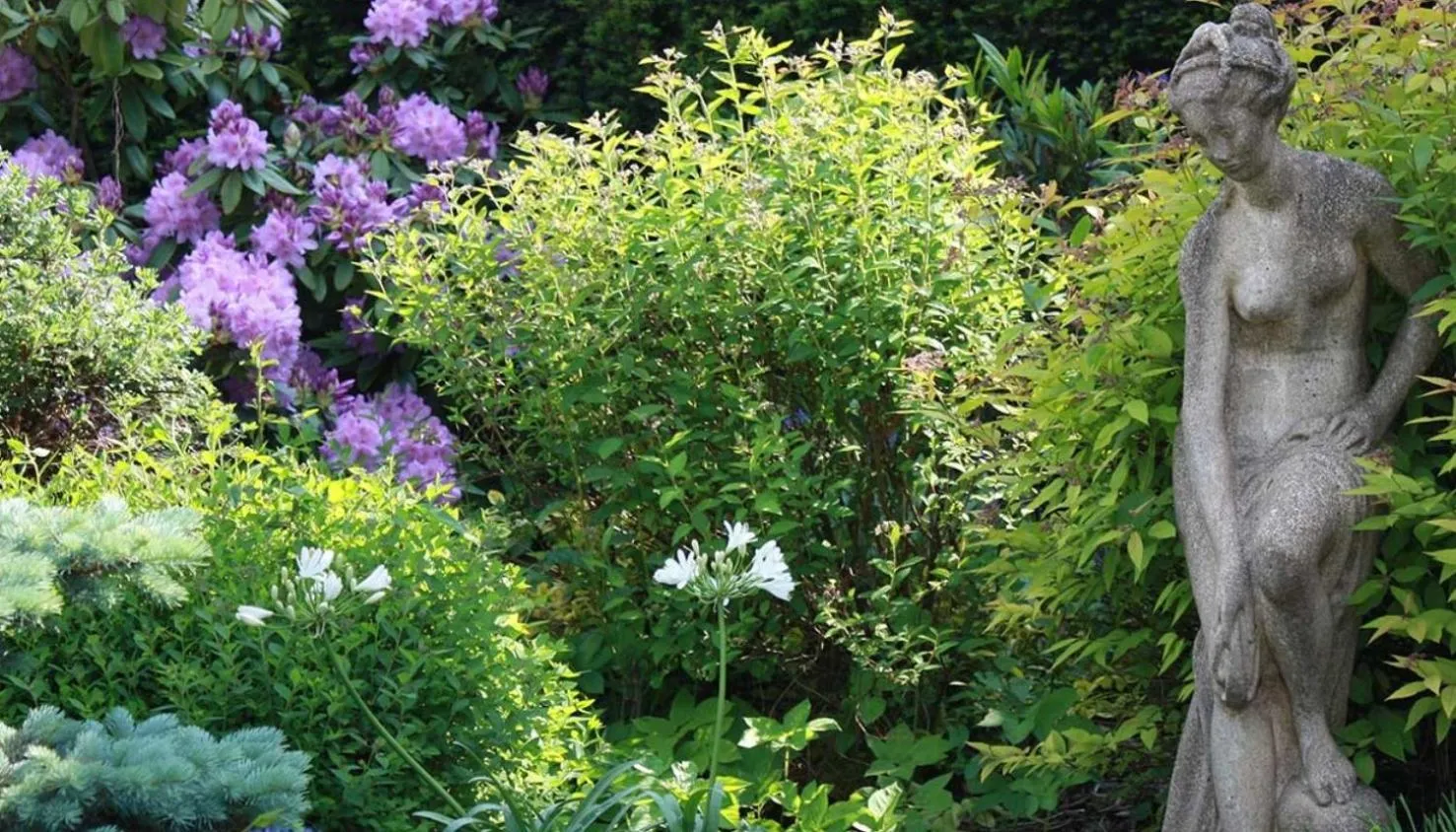 Garden in Hôtel Restaurant Taillard