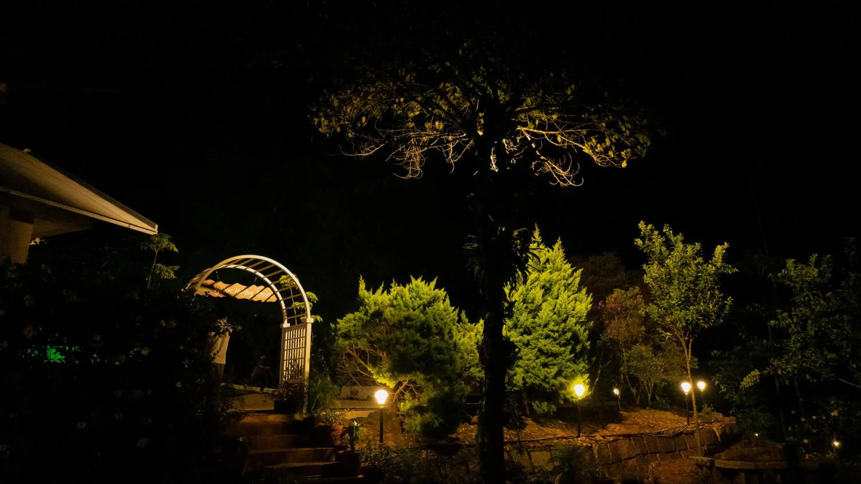 Night in Vythiri Holiday Resort, Wayanad