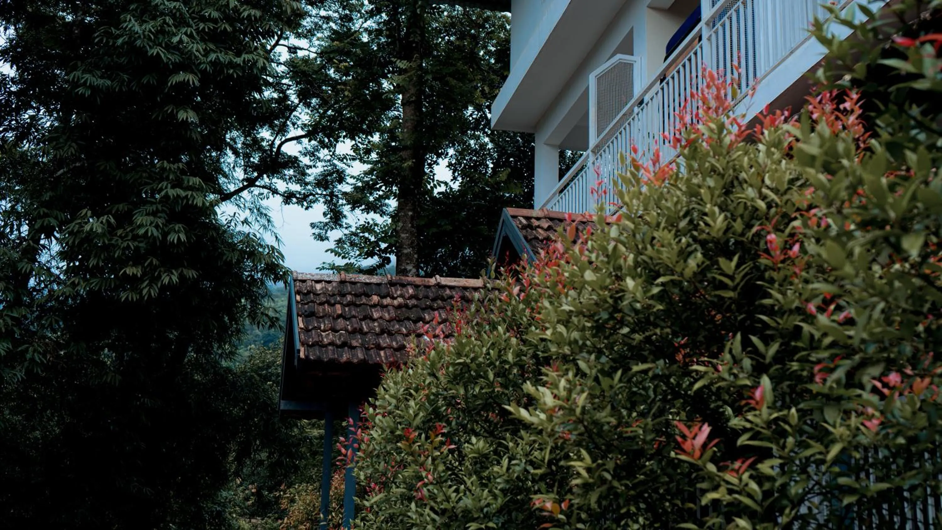 Spring in Vythiri Holiday Resort, Wayanad