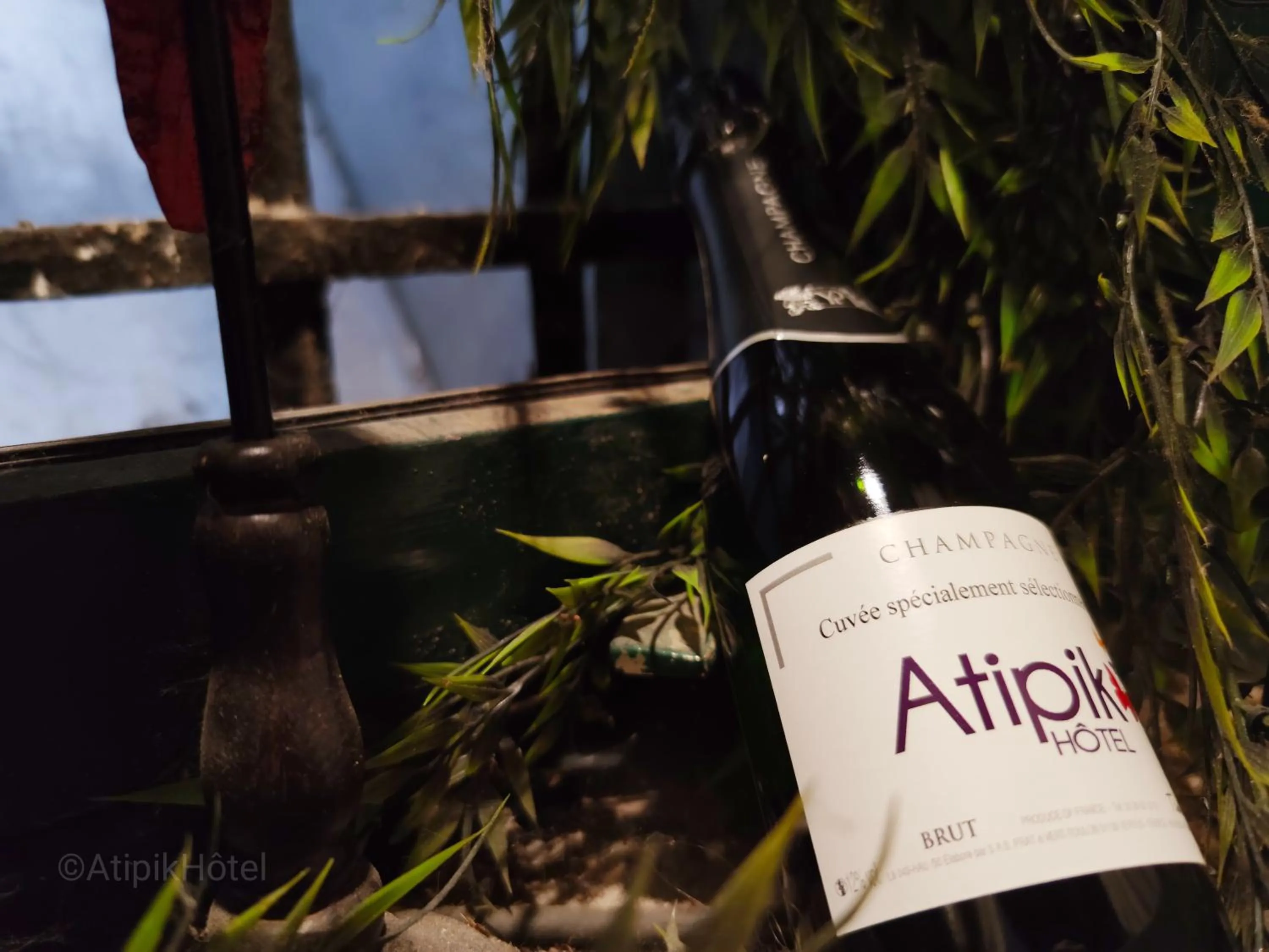 Alcoholic drinks in Atipik Hôtel