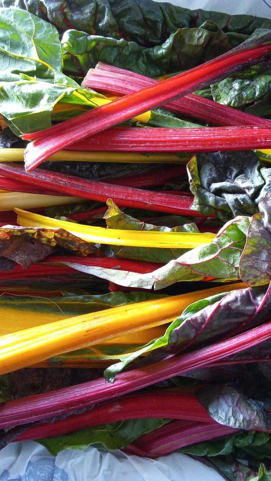 Restaurant/places to eat in Hôtel Restaurant Les Touristes