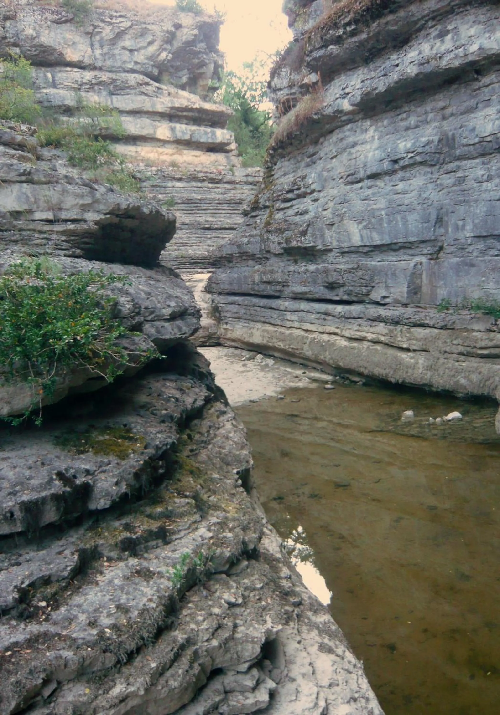 Entertainment in Hôtel Restaurant Les Touristes