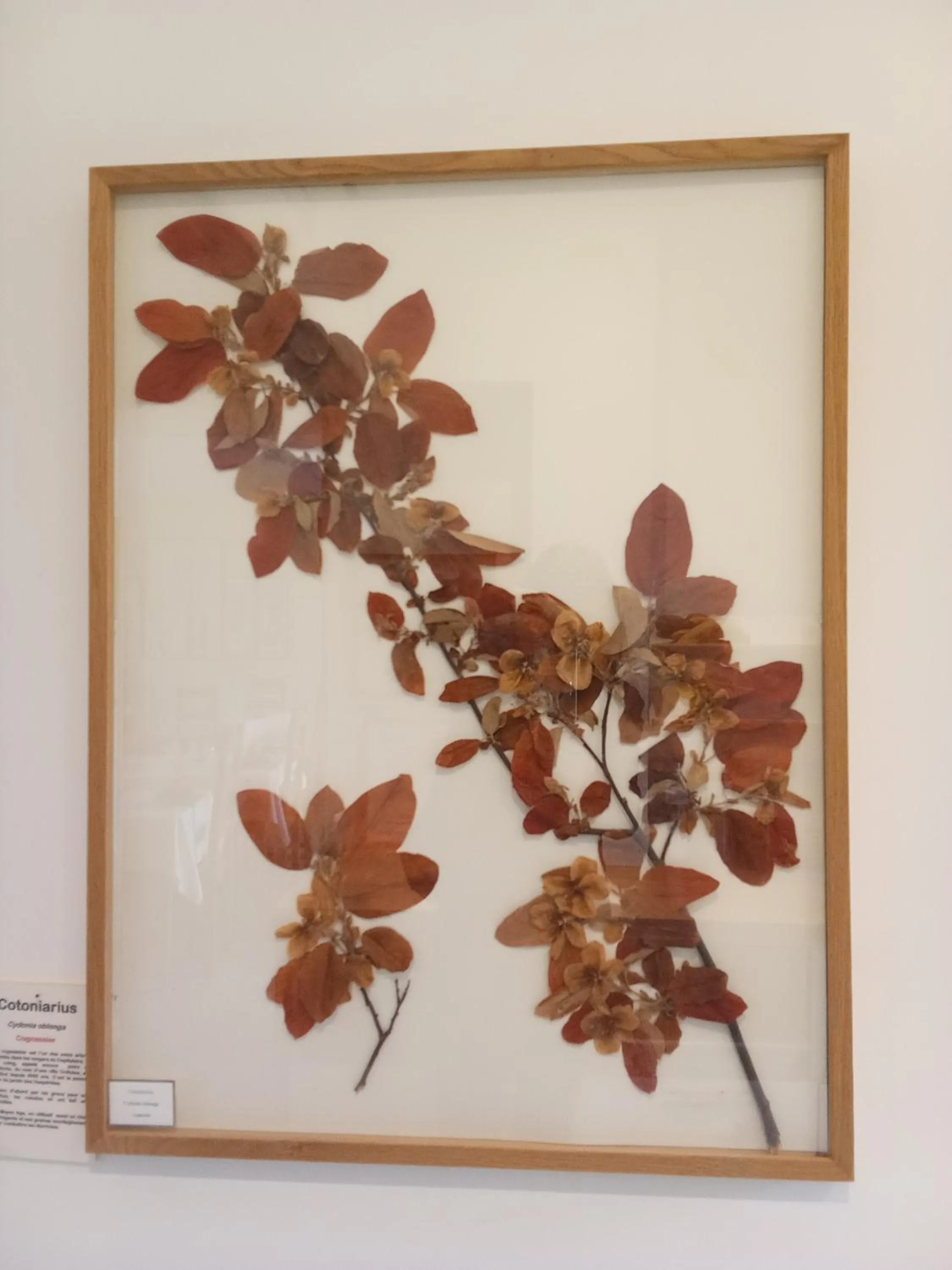 Property building in Hôtel Restaurant Les Touristes