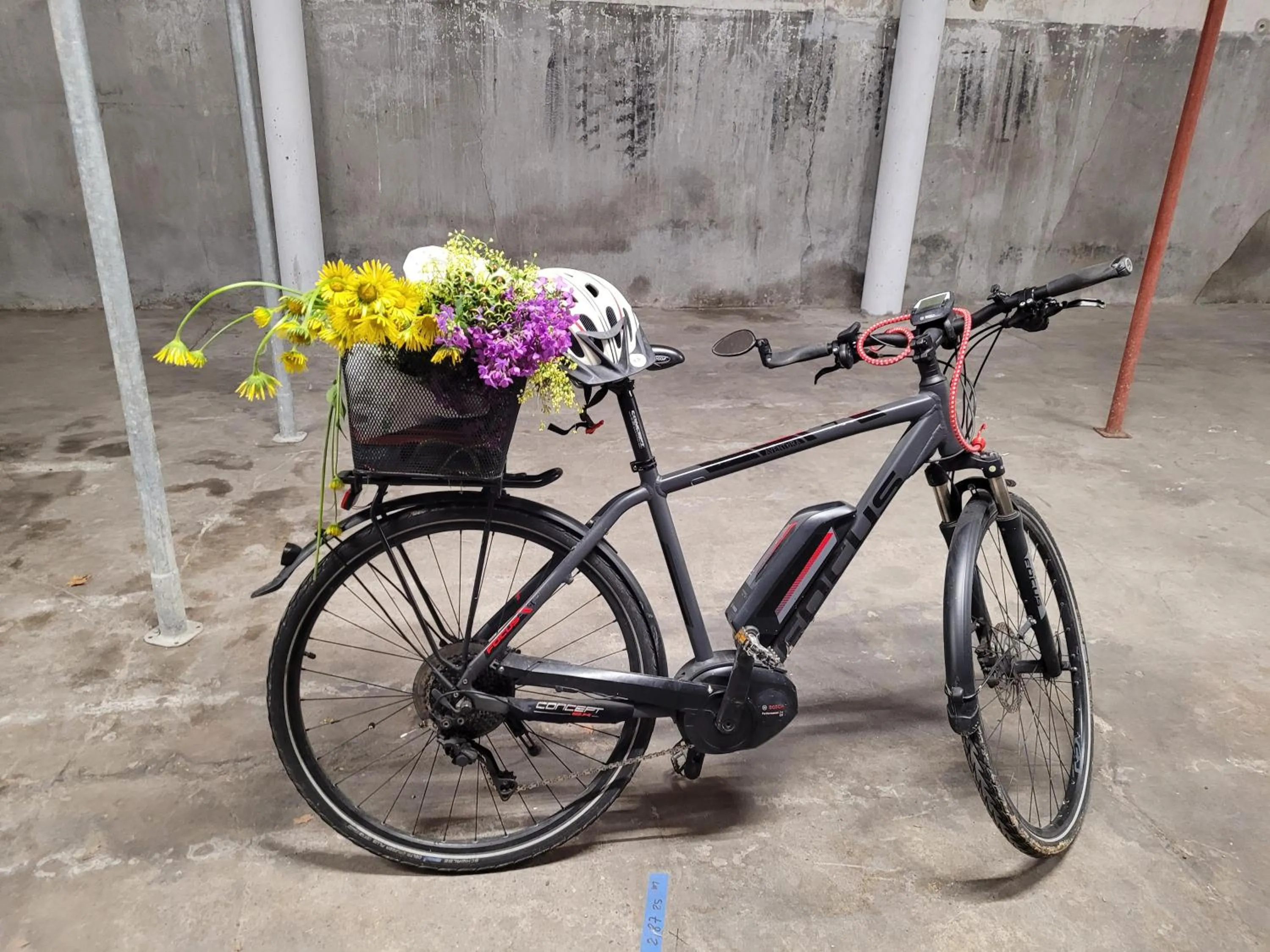 Cycling in Hôtel Restaurant Les Touristes