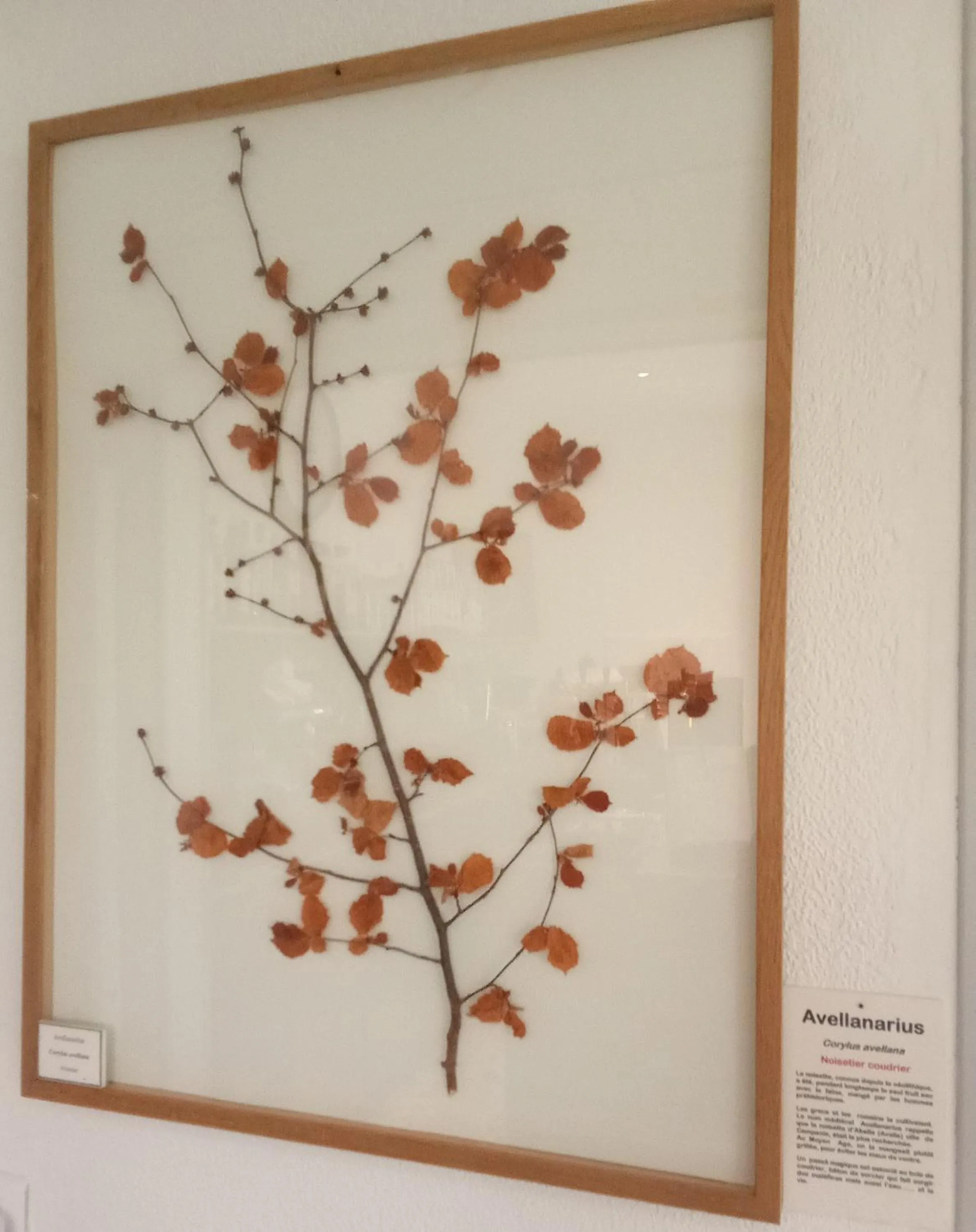 Property building in Hôtel Restaurant Les Touristes