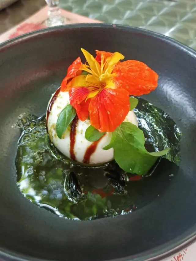 Restaurant/places to eat in Hôtel Restaurant Les Touristes