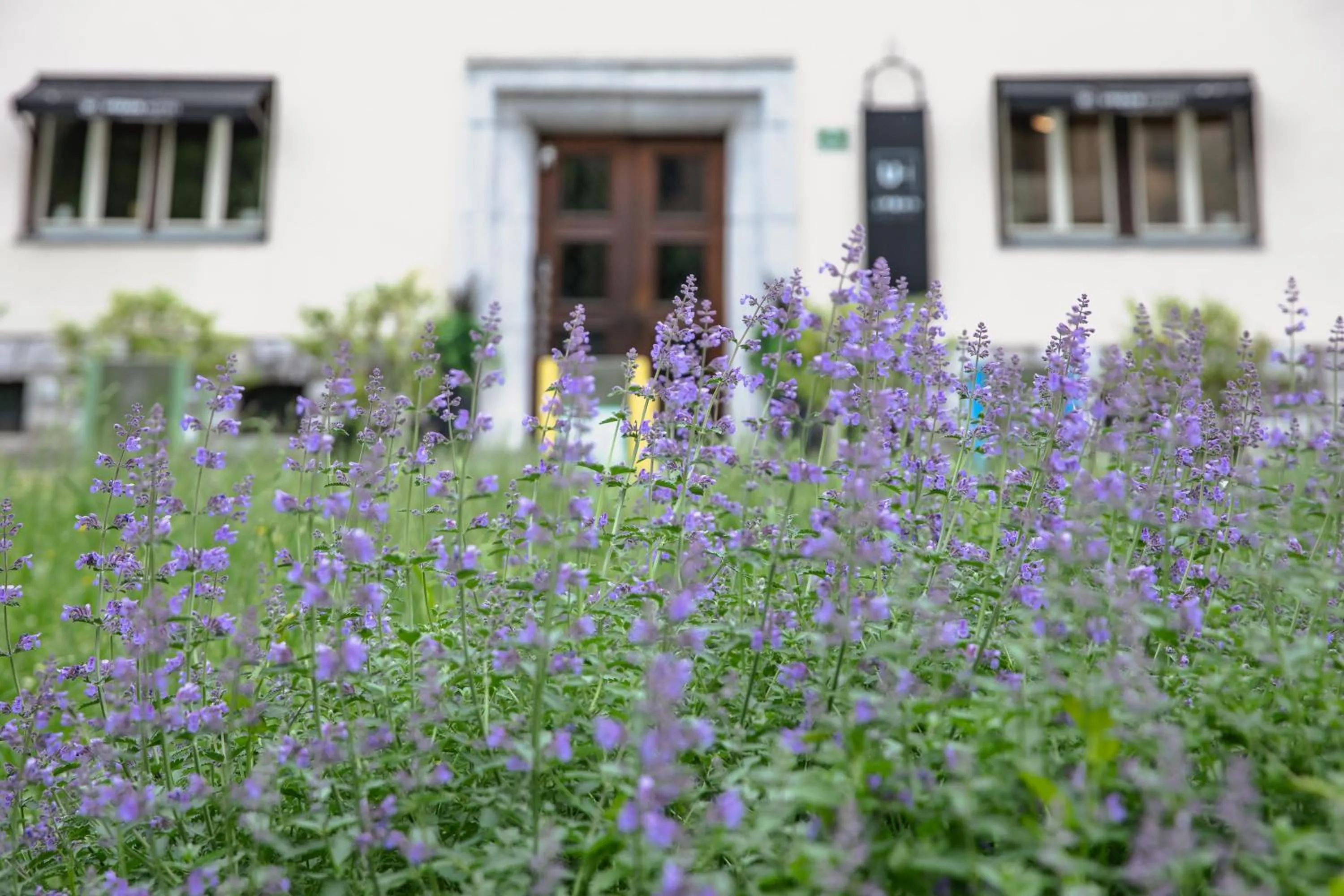 Garden view in Urban Boutique Hotel Center