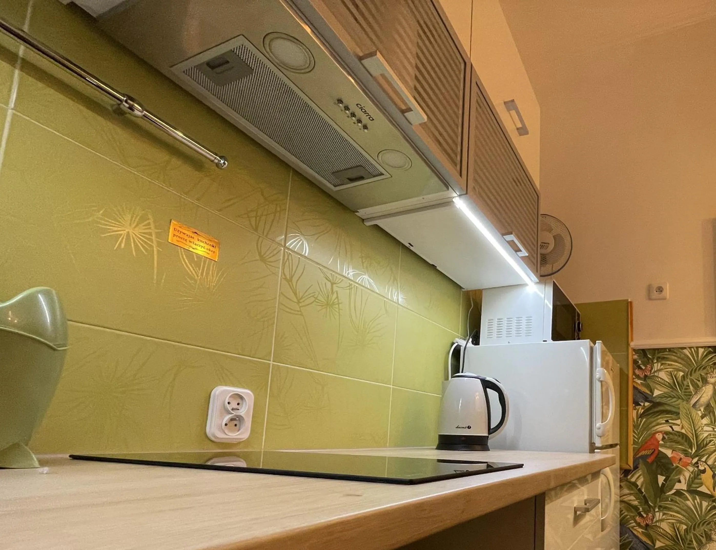 Kitchen or kitchenette in Apartamenty pod Wiciokrzewem