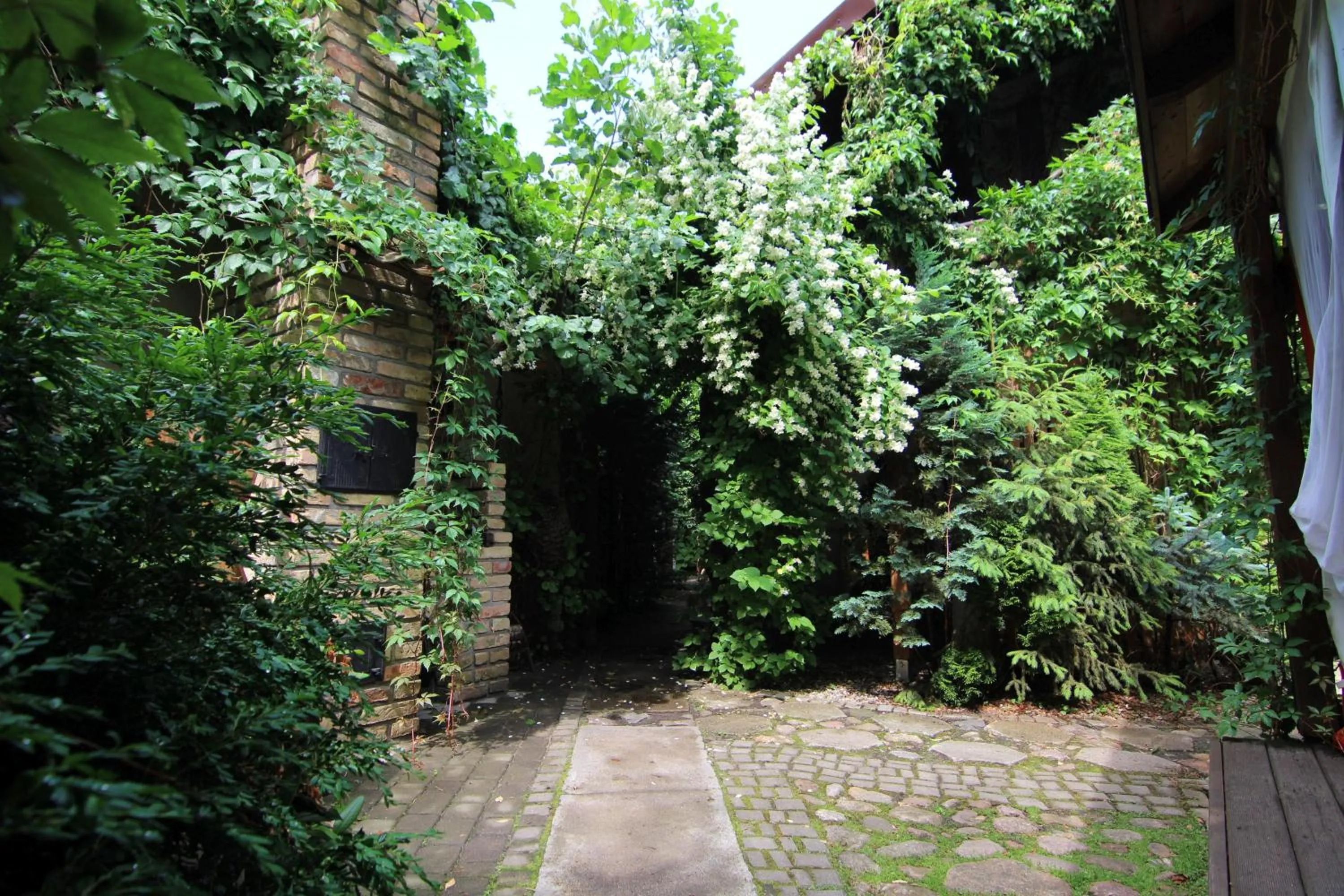 Garden in Apartamenty pod Wiciokrzewem