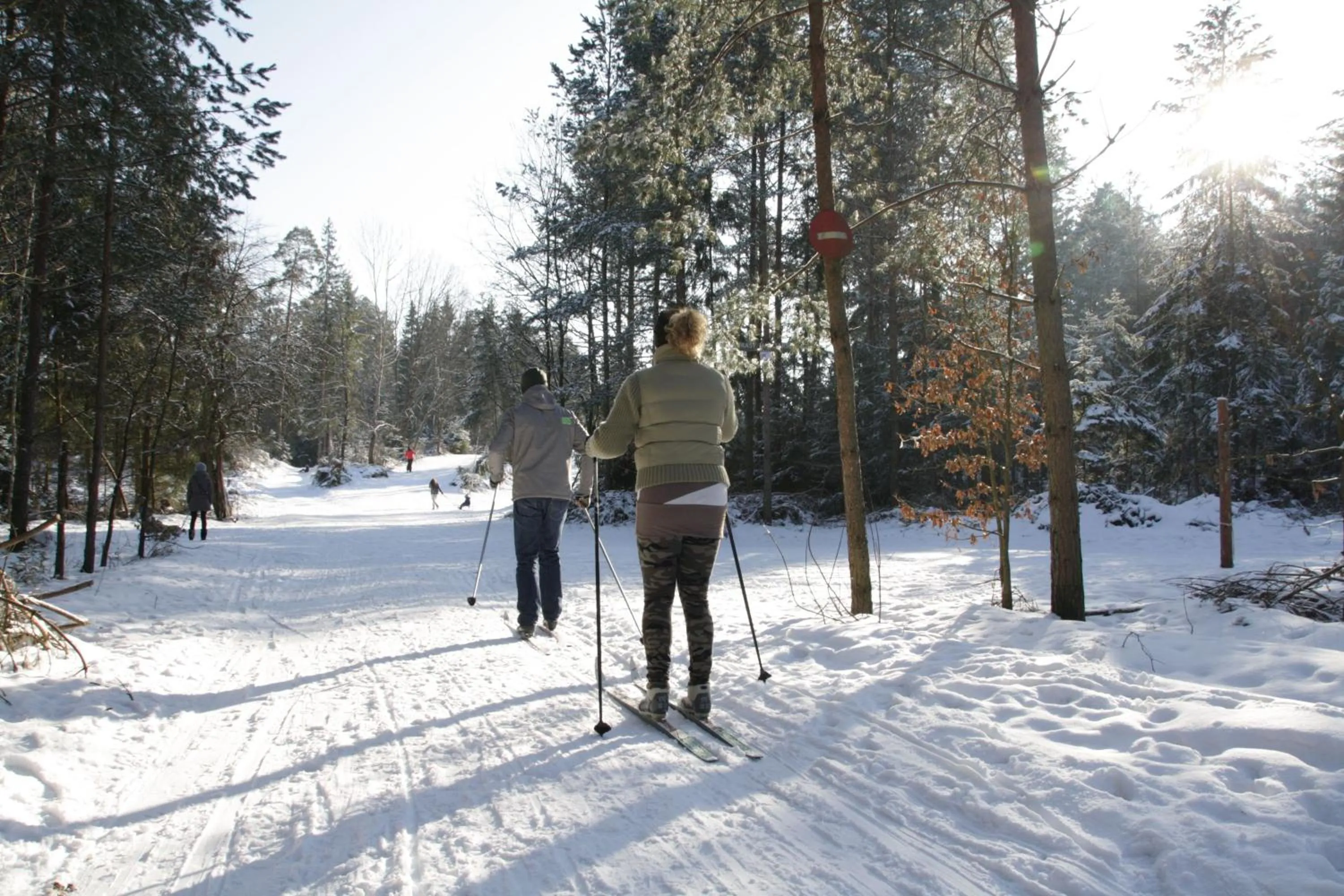 Skiing in Apartamenty pod Wiciokrzewem