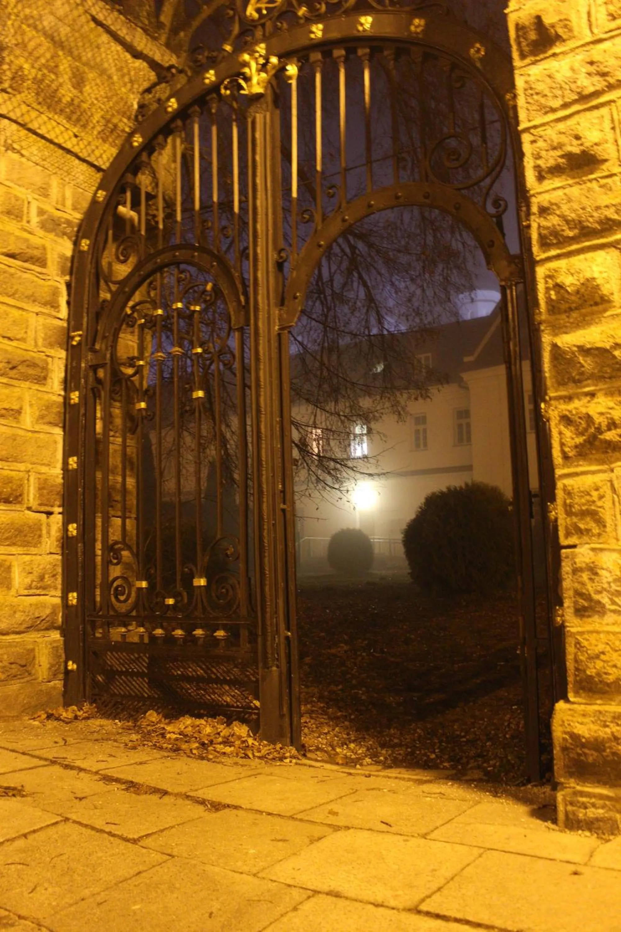 Nearby landmark in Apartamenty pod Wiciokrzewem