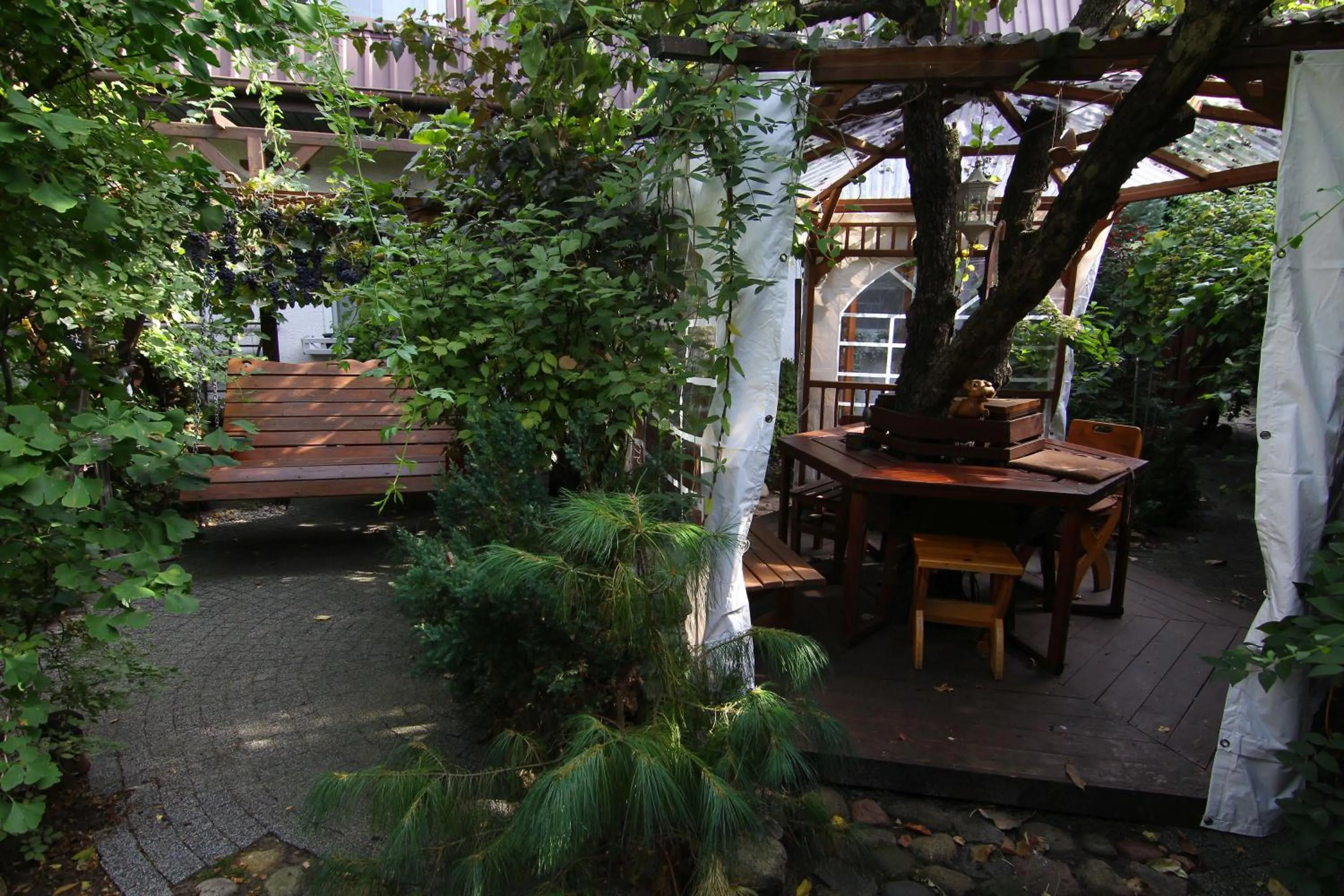 Patio in Apartamenty pod Wiciokrzewem