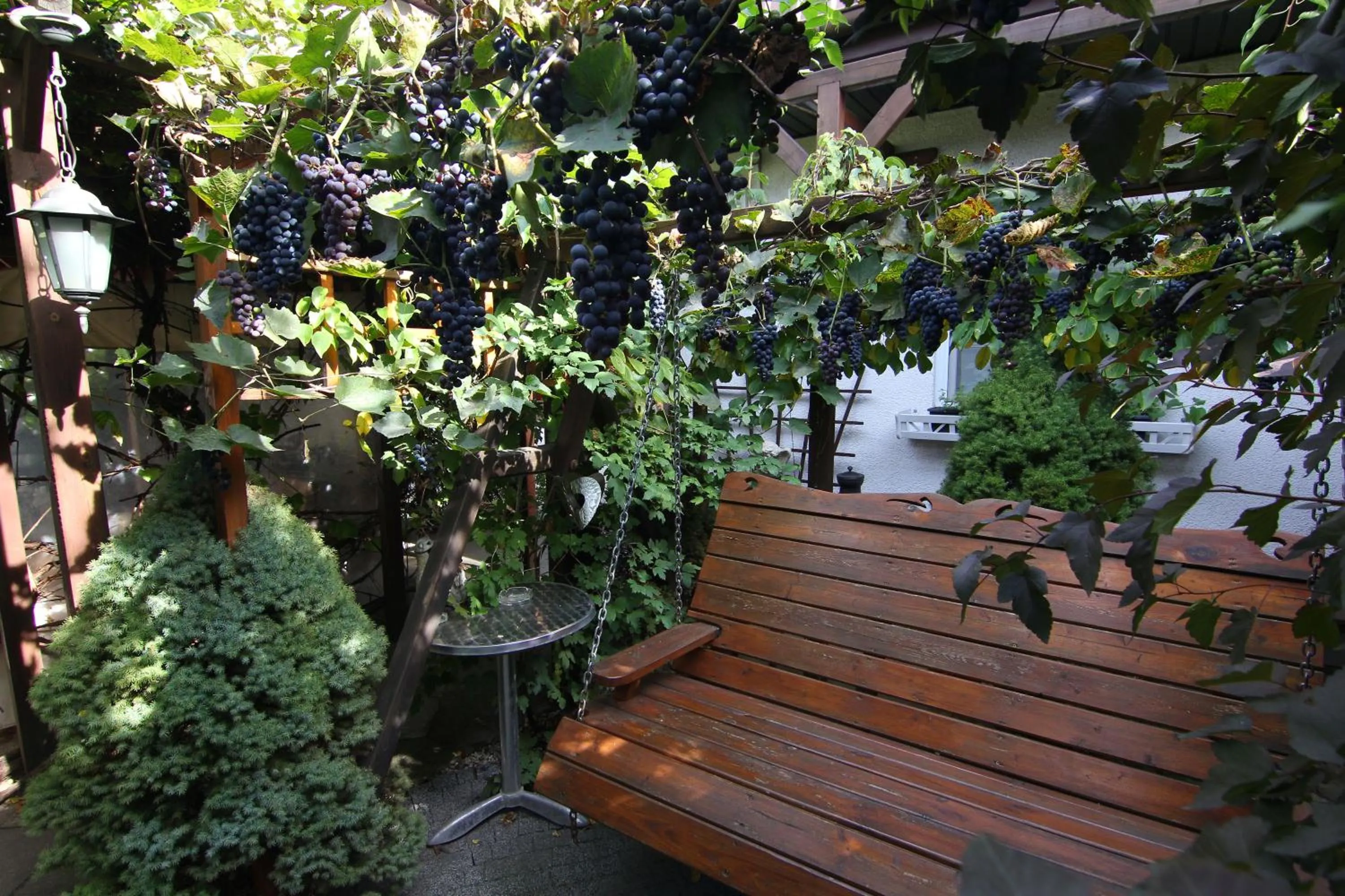 Garden in Apartamenty pod Wiciokrzewem