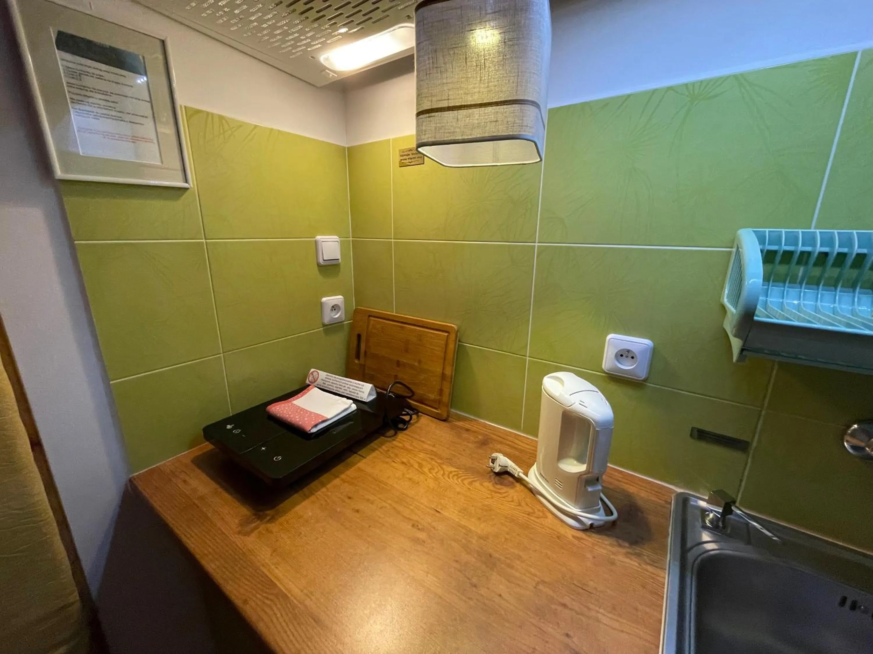 Kitchen or kitchenette in Apartamenty pod Wiciokrzewem