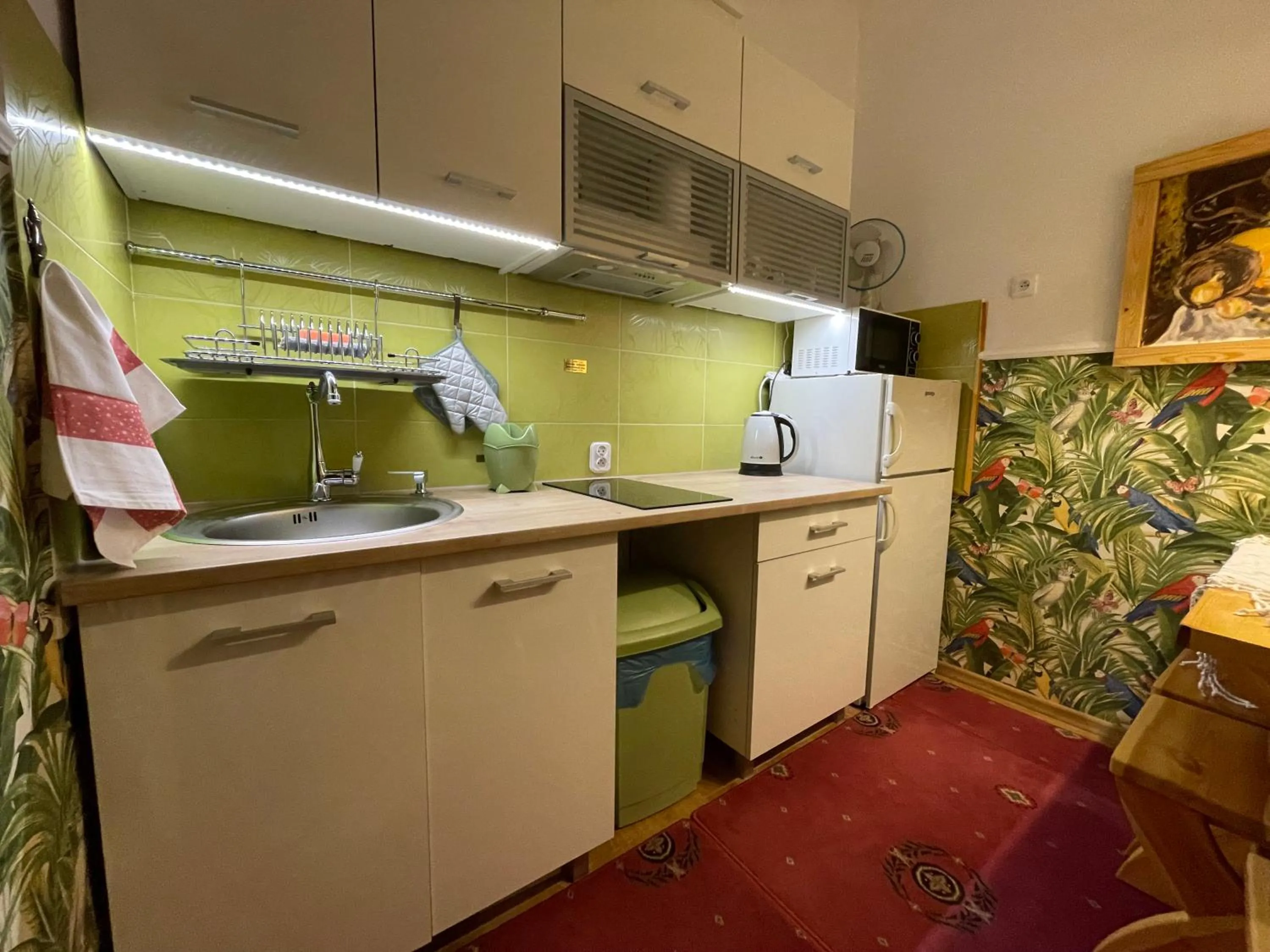 Kitchen or kitchenette in Apartamenty pod Wiciokrzewem