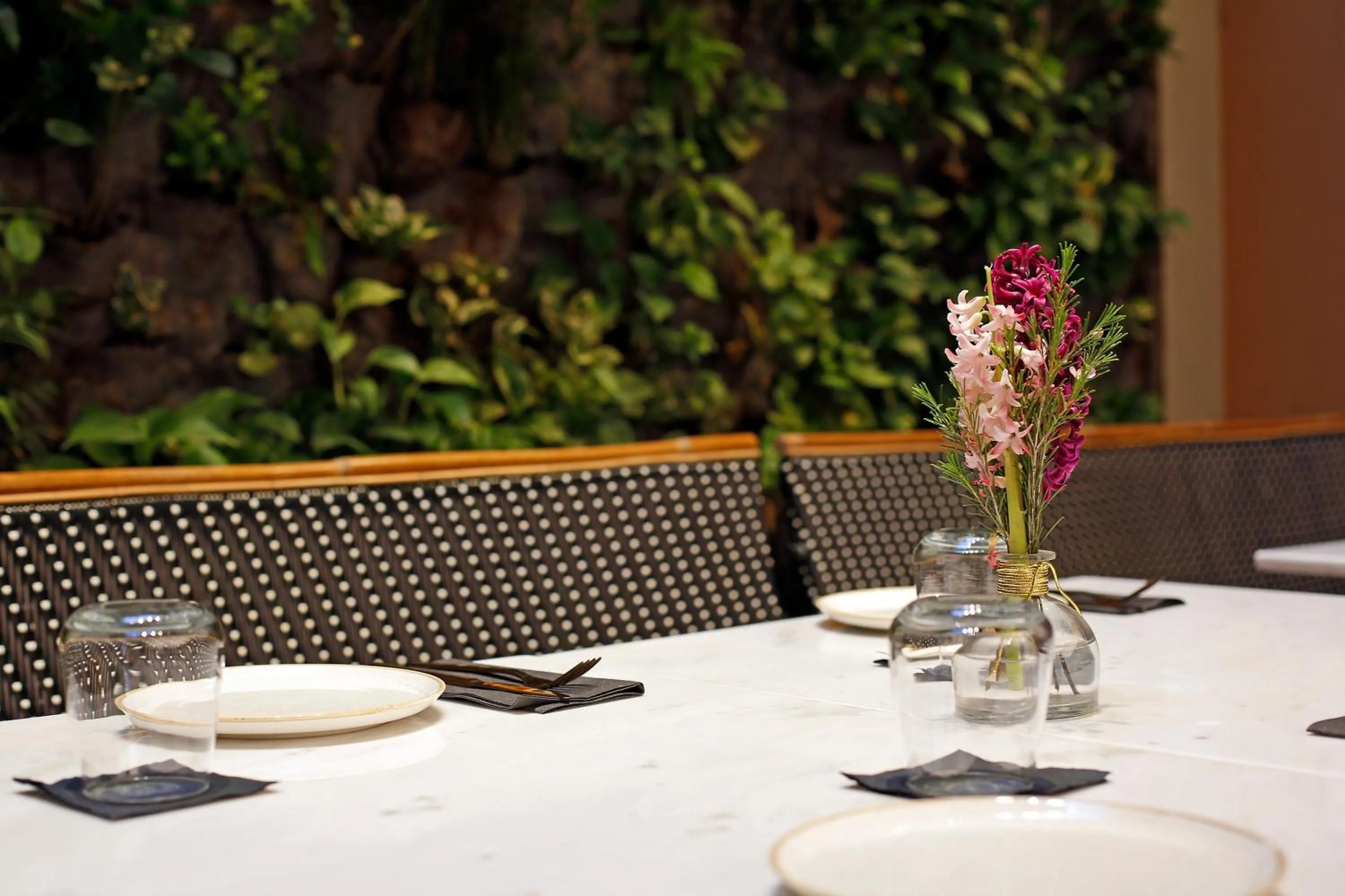 Restaurant/places to eat in Hotel Lozenge