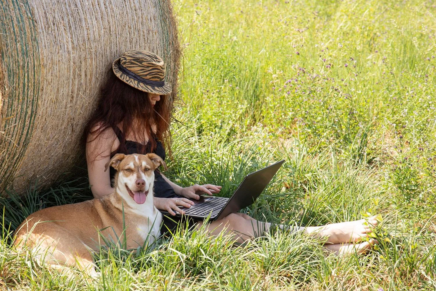 Natural landscape in LandGut Berlinchen