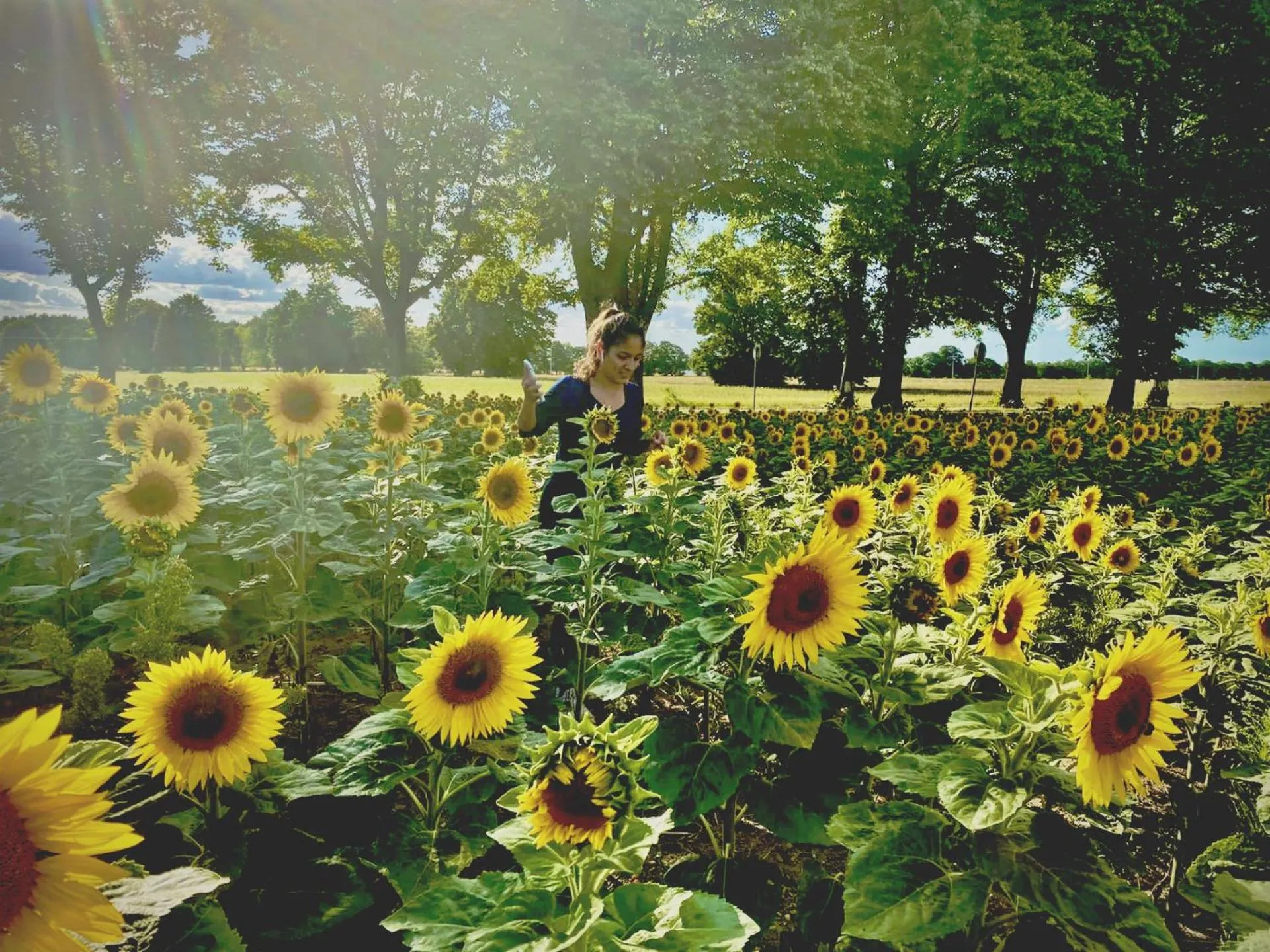 Natural landscape in LandGut Berlinchen
