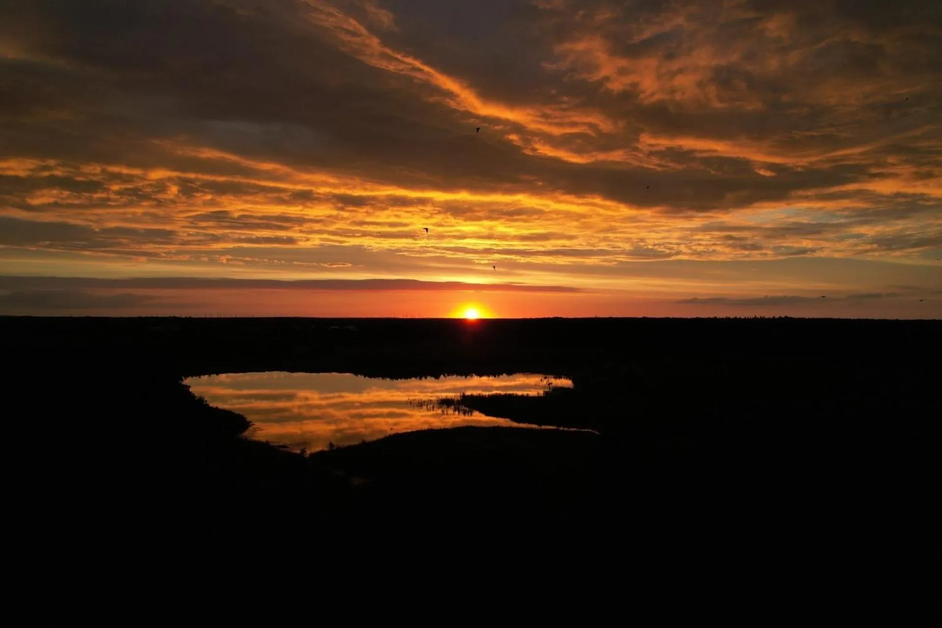 Natural landscape in LandGut Berlinchen