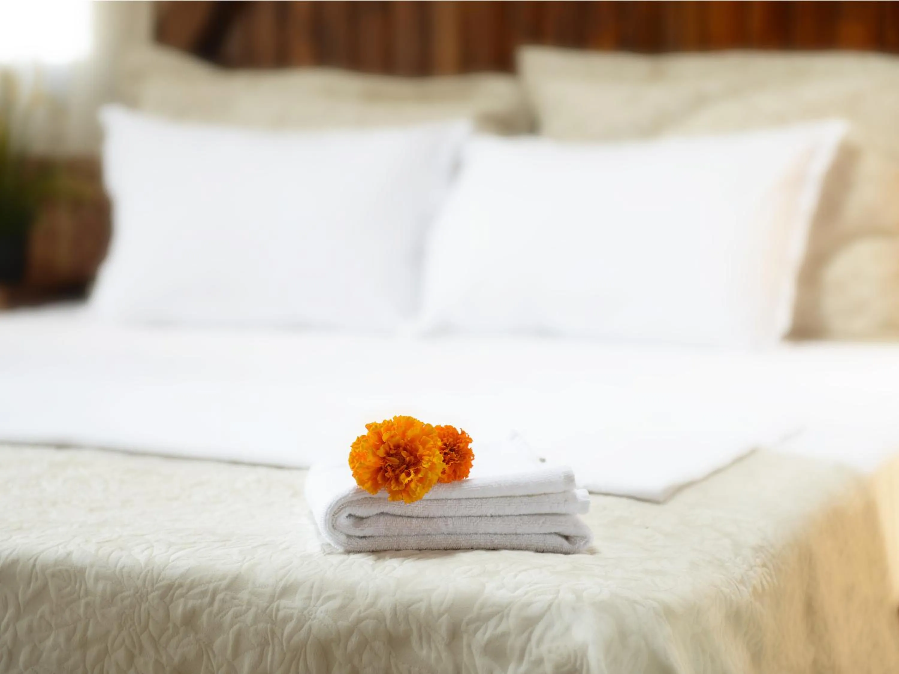 Decorative detail, Bed in Hotel Schwarzes Ross Siebenlehn