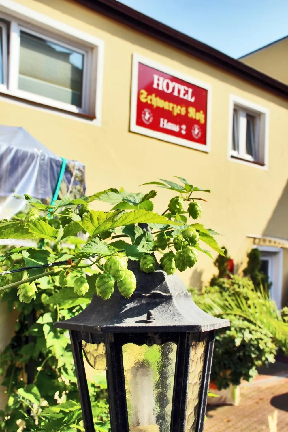 Property building in Hotel Schwarzes Ross Siebenlehn