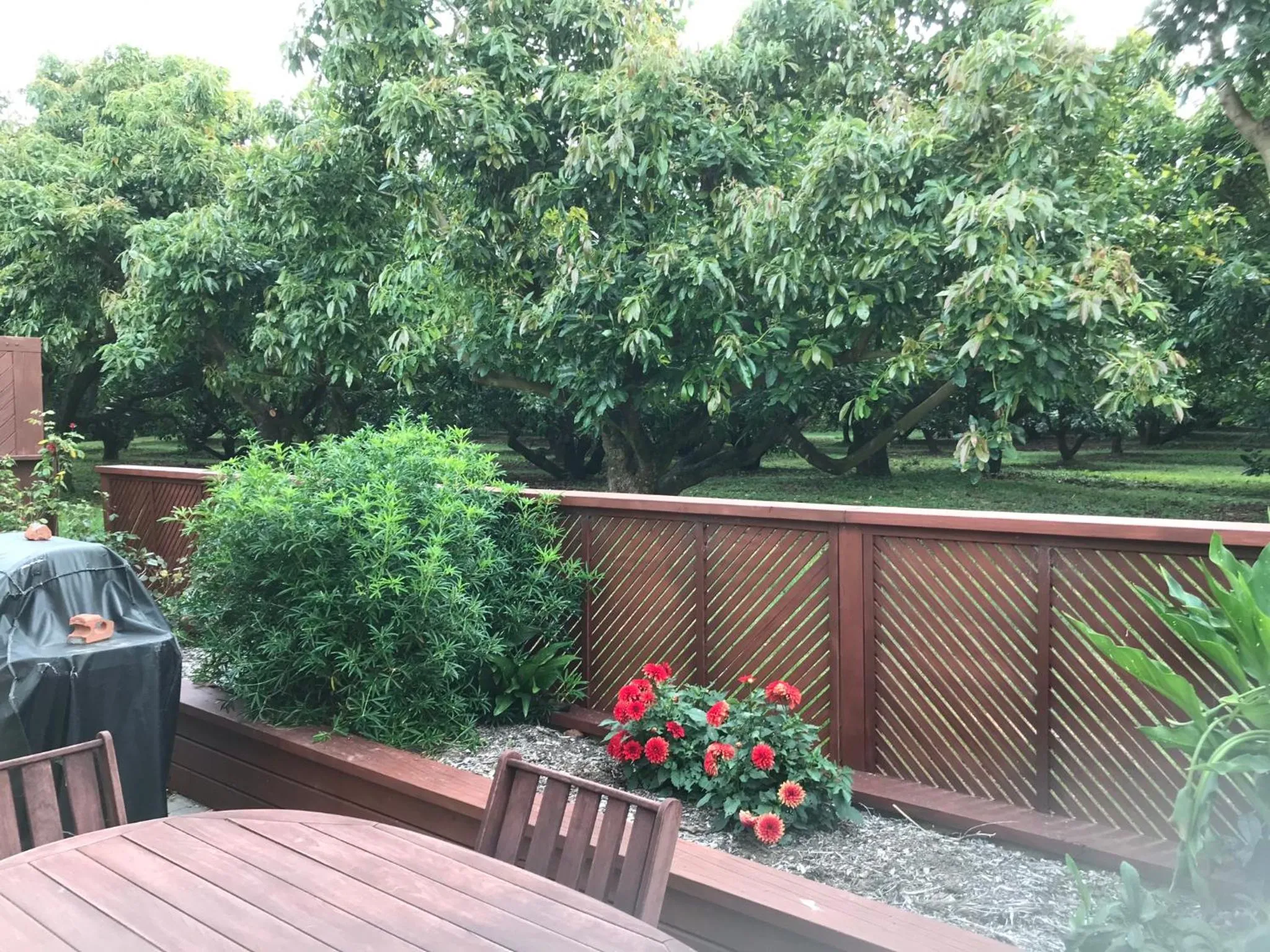 Garden view in Baybell Lodge