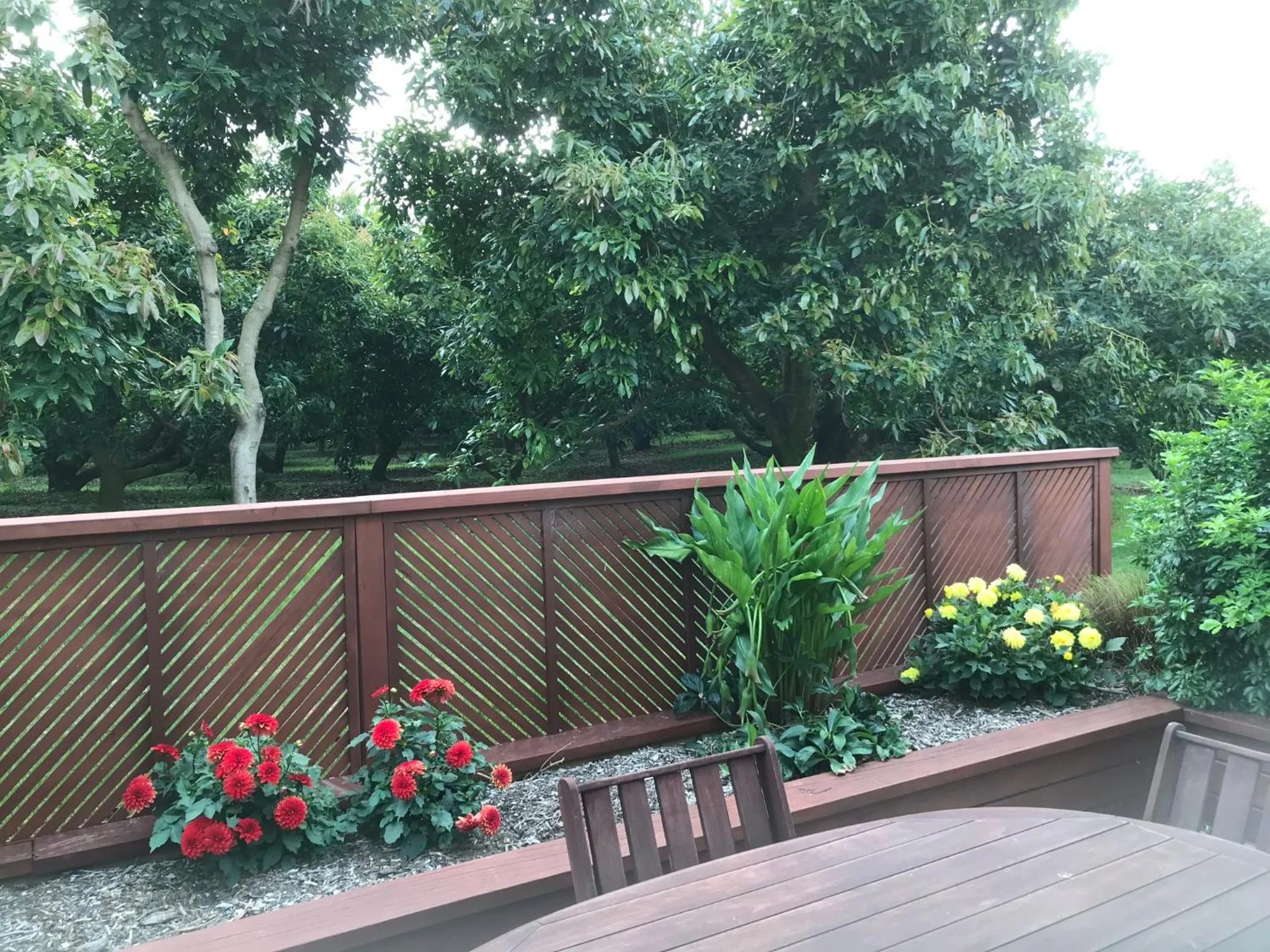 Garden view in Baybell Lodge