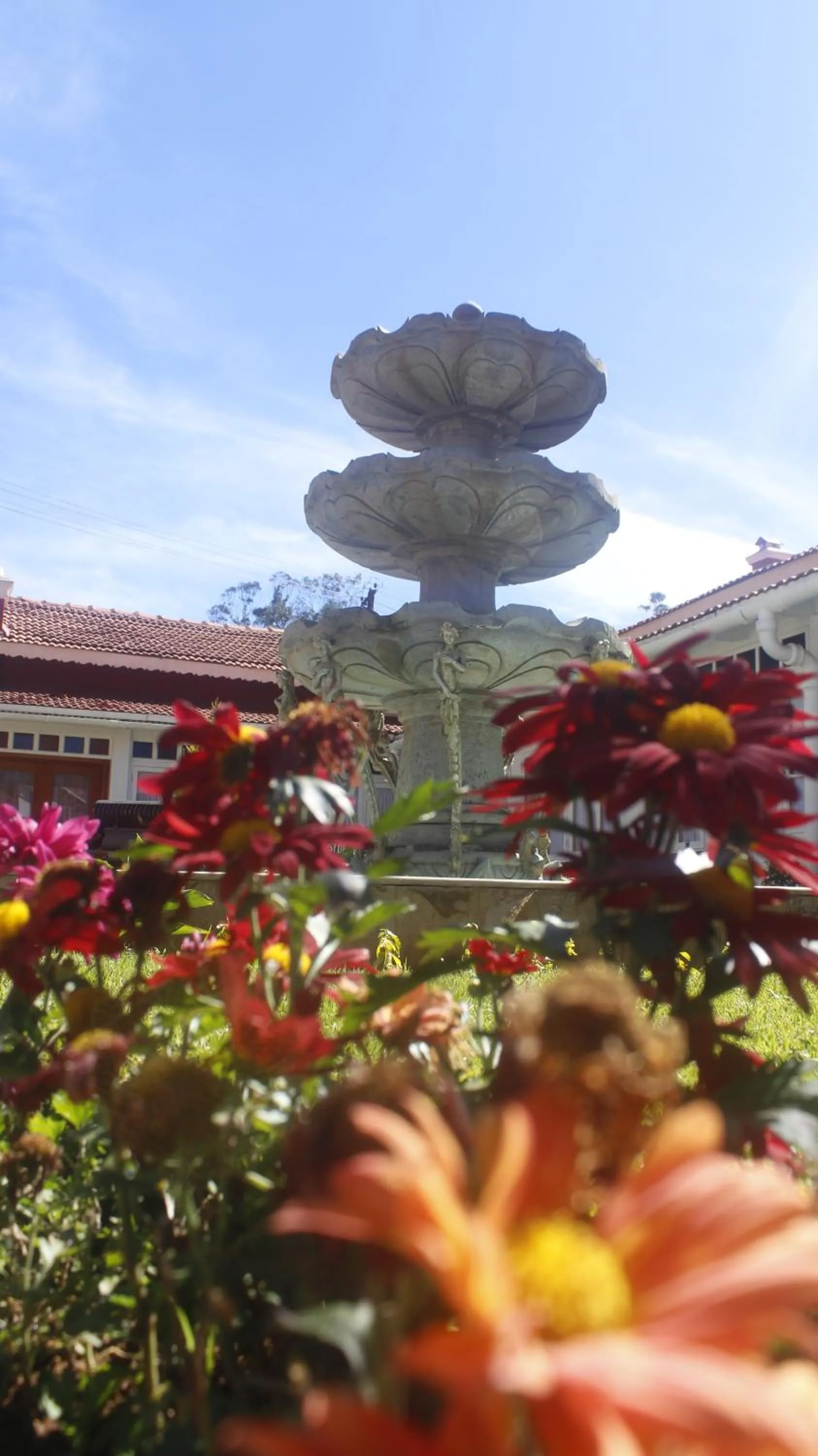 Day in West Downs - The Heritage Resort