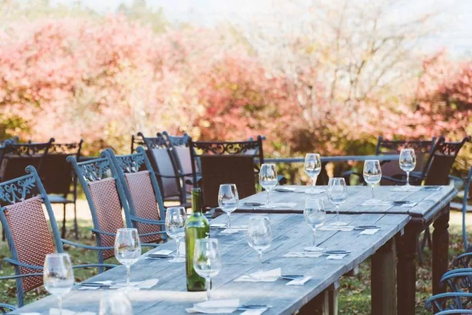 Spring in Hotel Tae Windsor