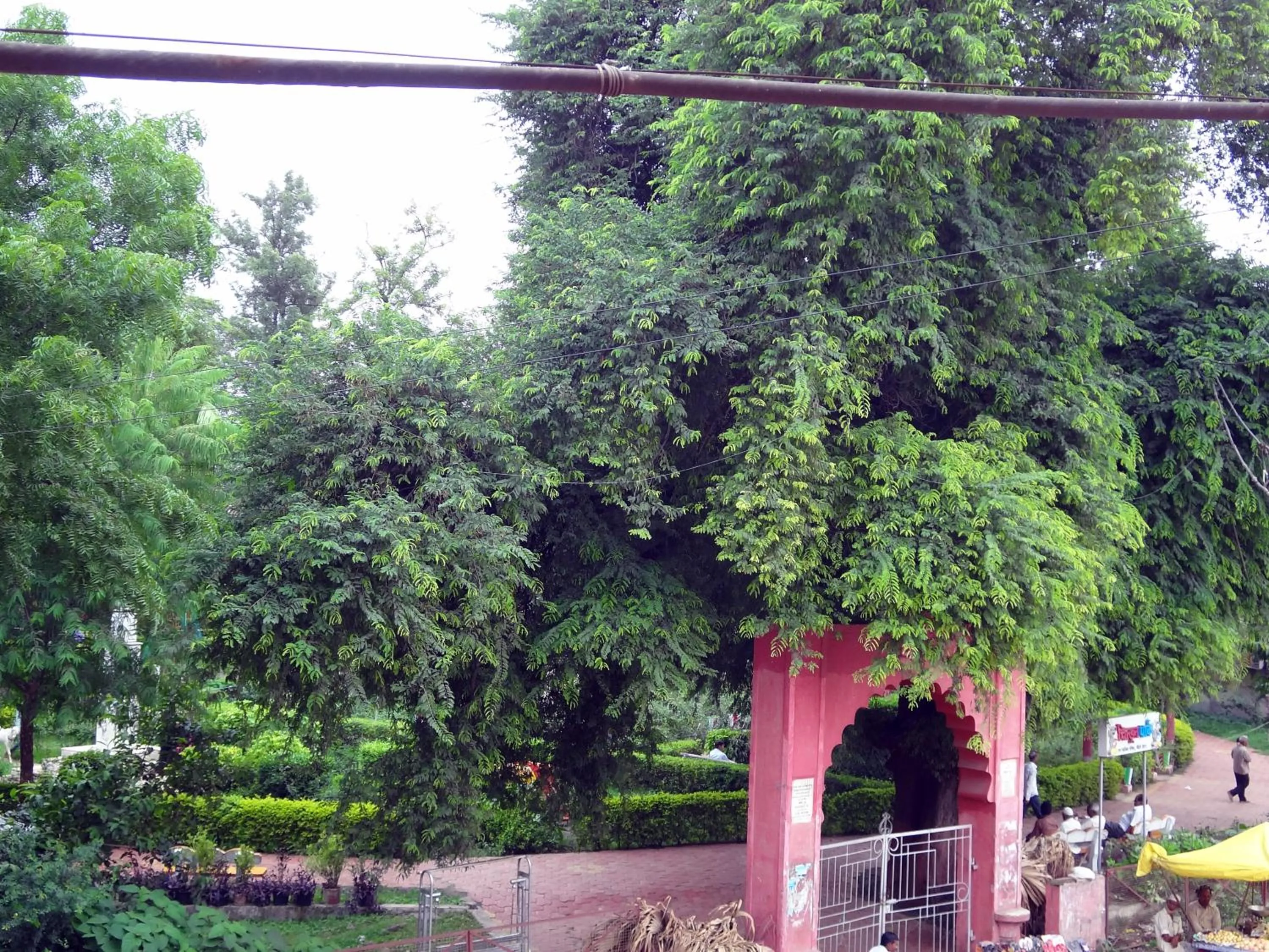 Neighbourhood in Hotel Parvati Palace Sehore