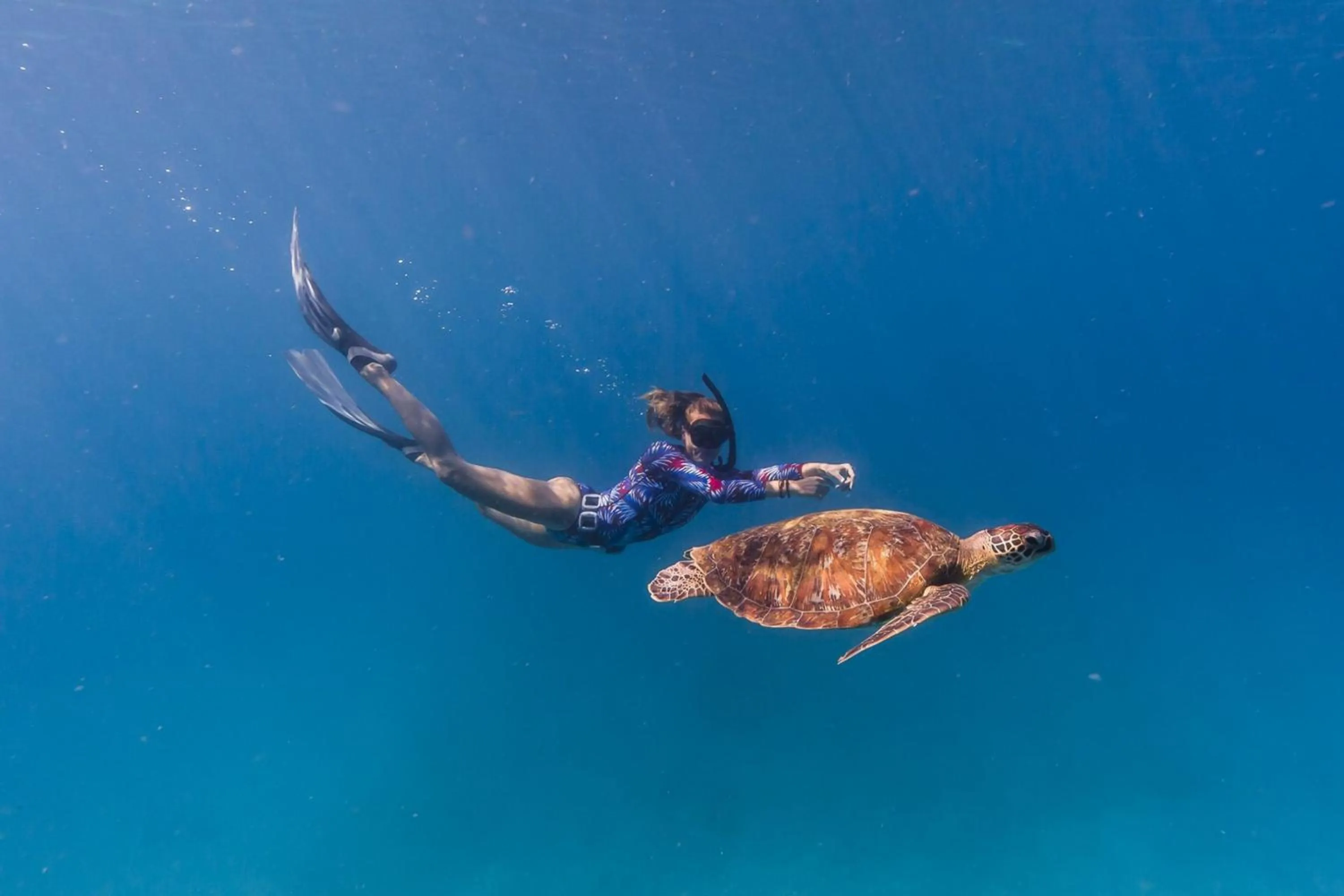 Snorkeling in New Heaven Dive School and Resort