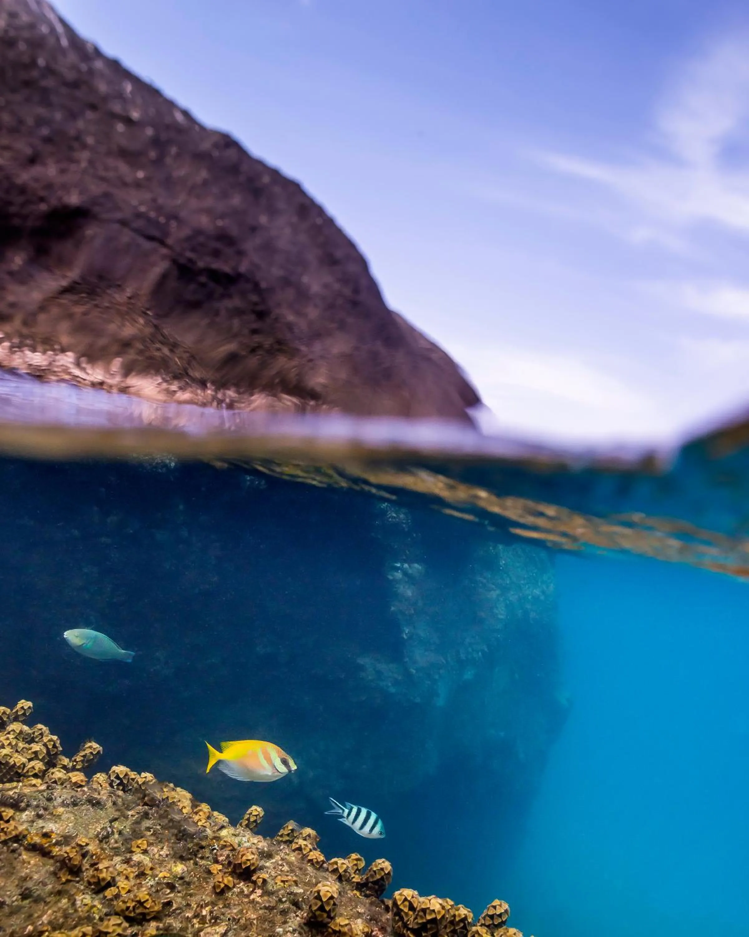Snorkeling in New Heaven Dive School and Resort