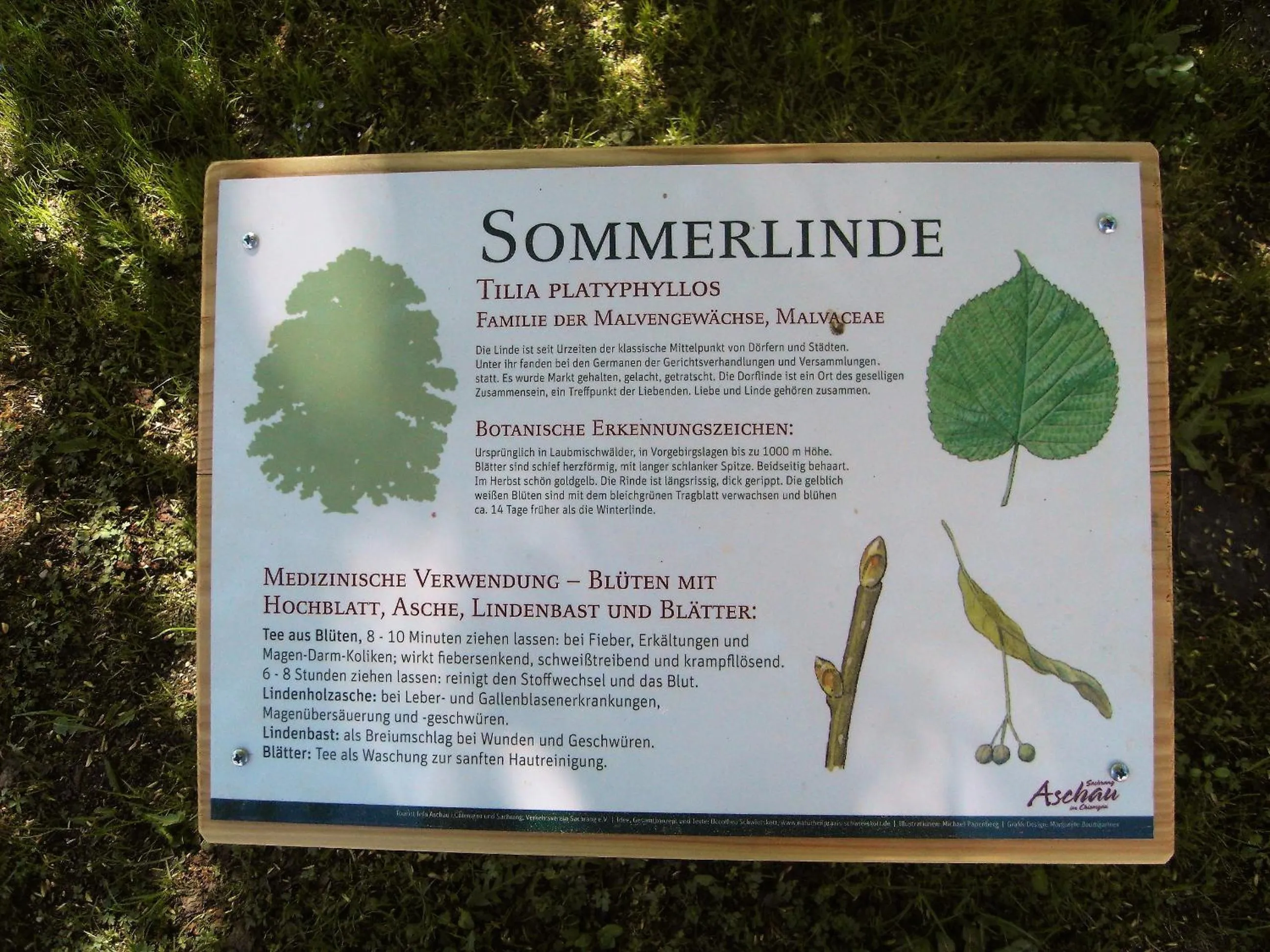 Activities in Posthotel Sachrang