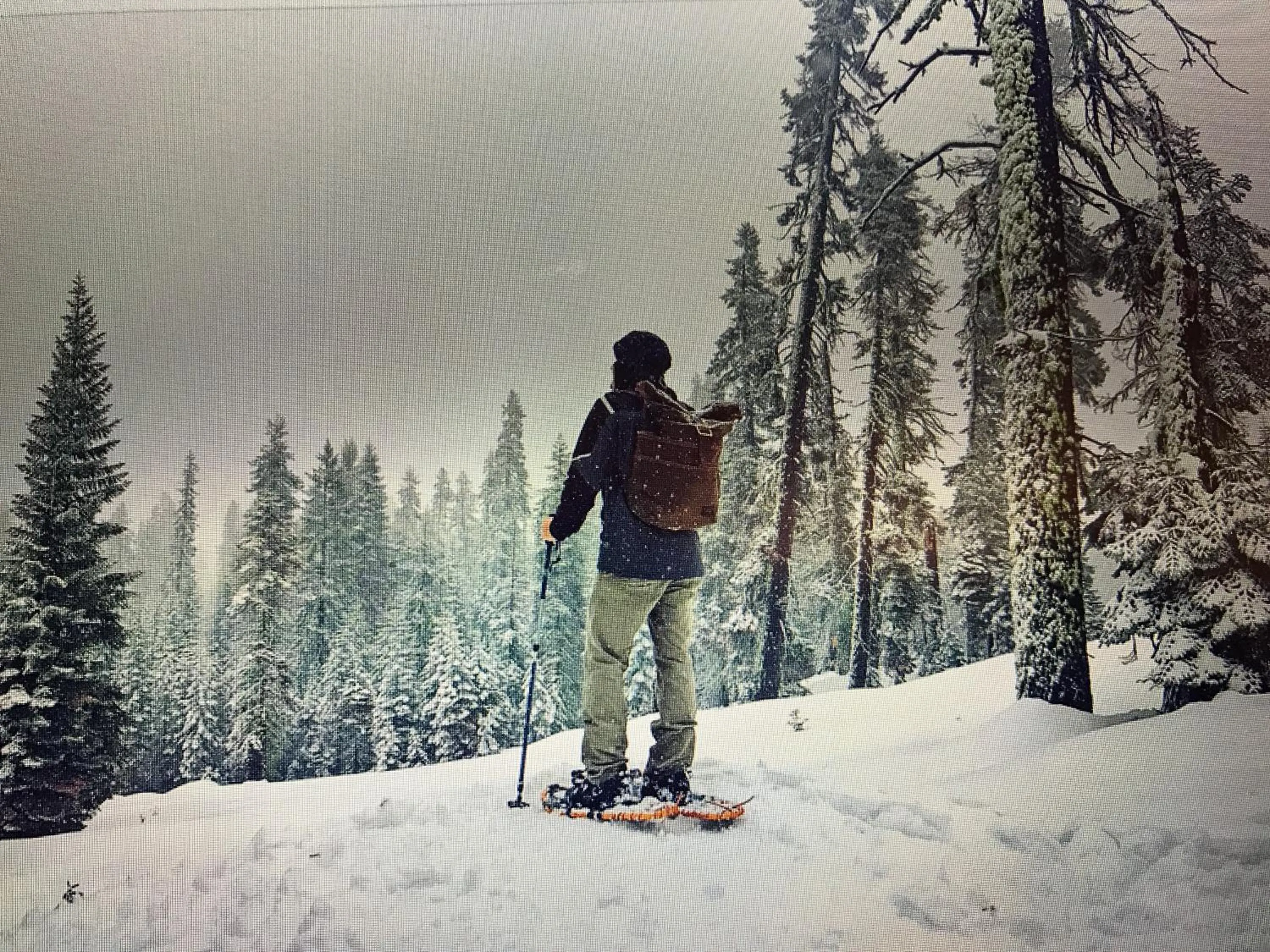 Winter in Posthotel Sachrang